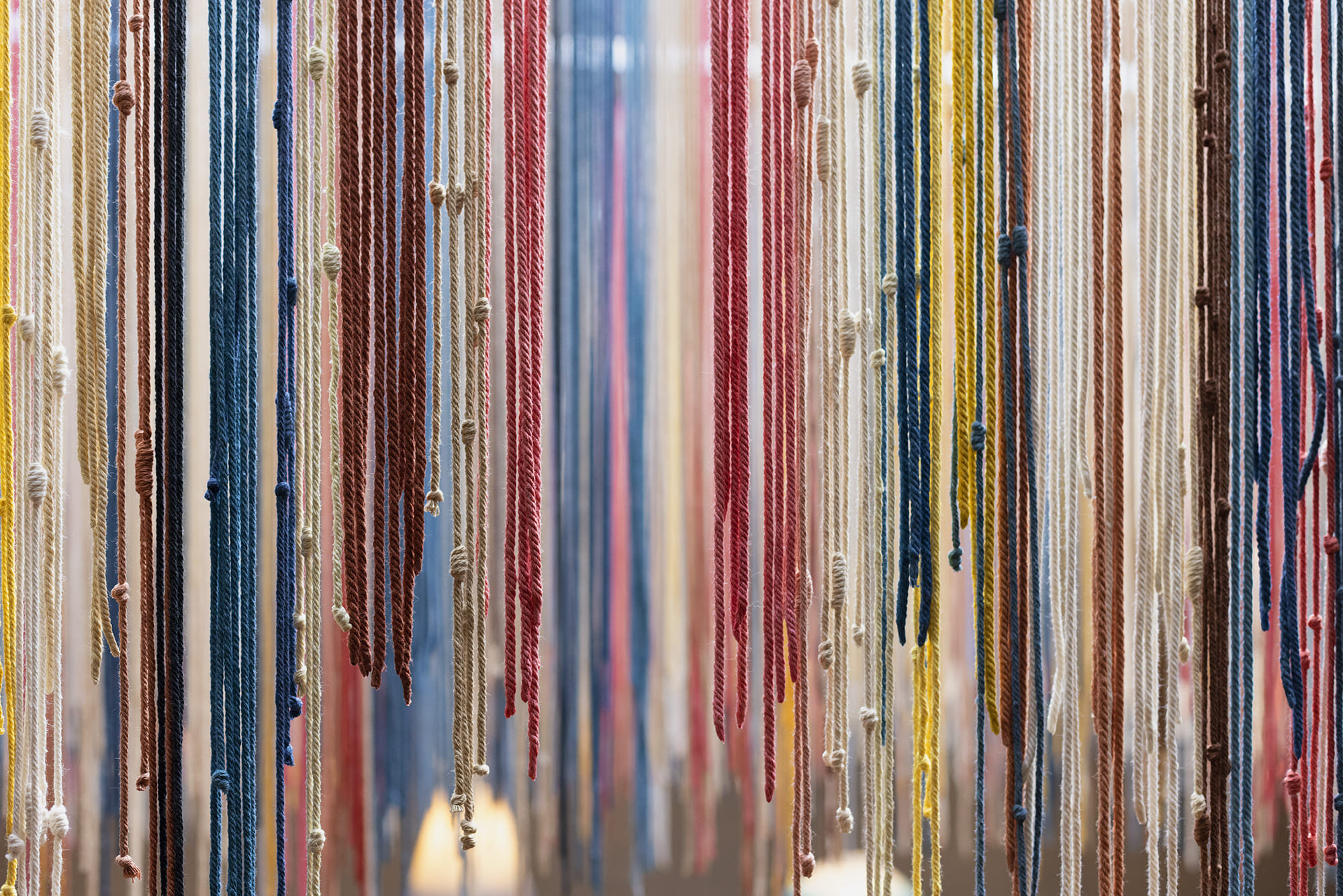 Sotano area | Lower ground 1