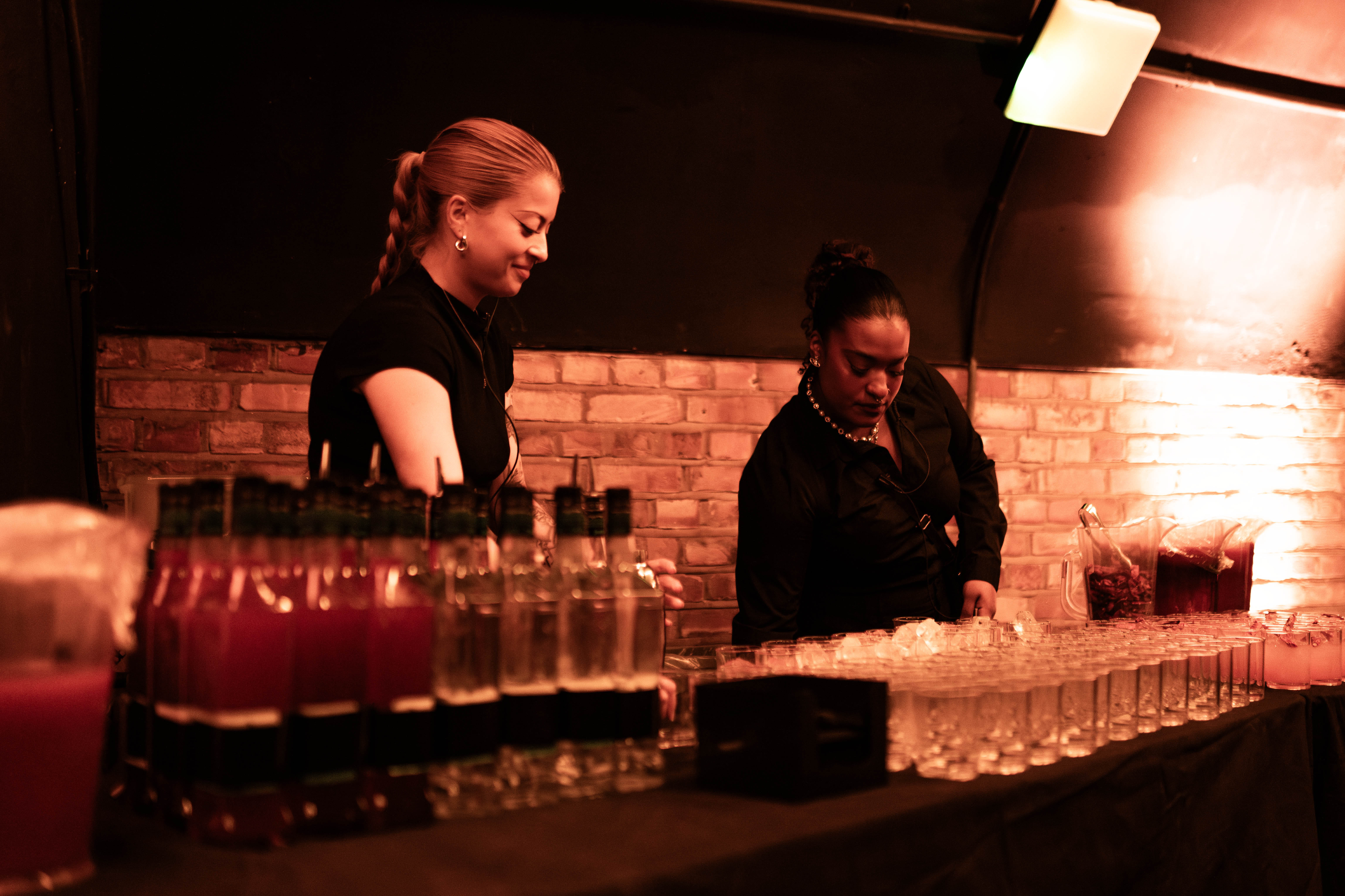 Exclusive hire - Corporate/Christmas party 13