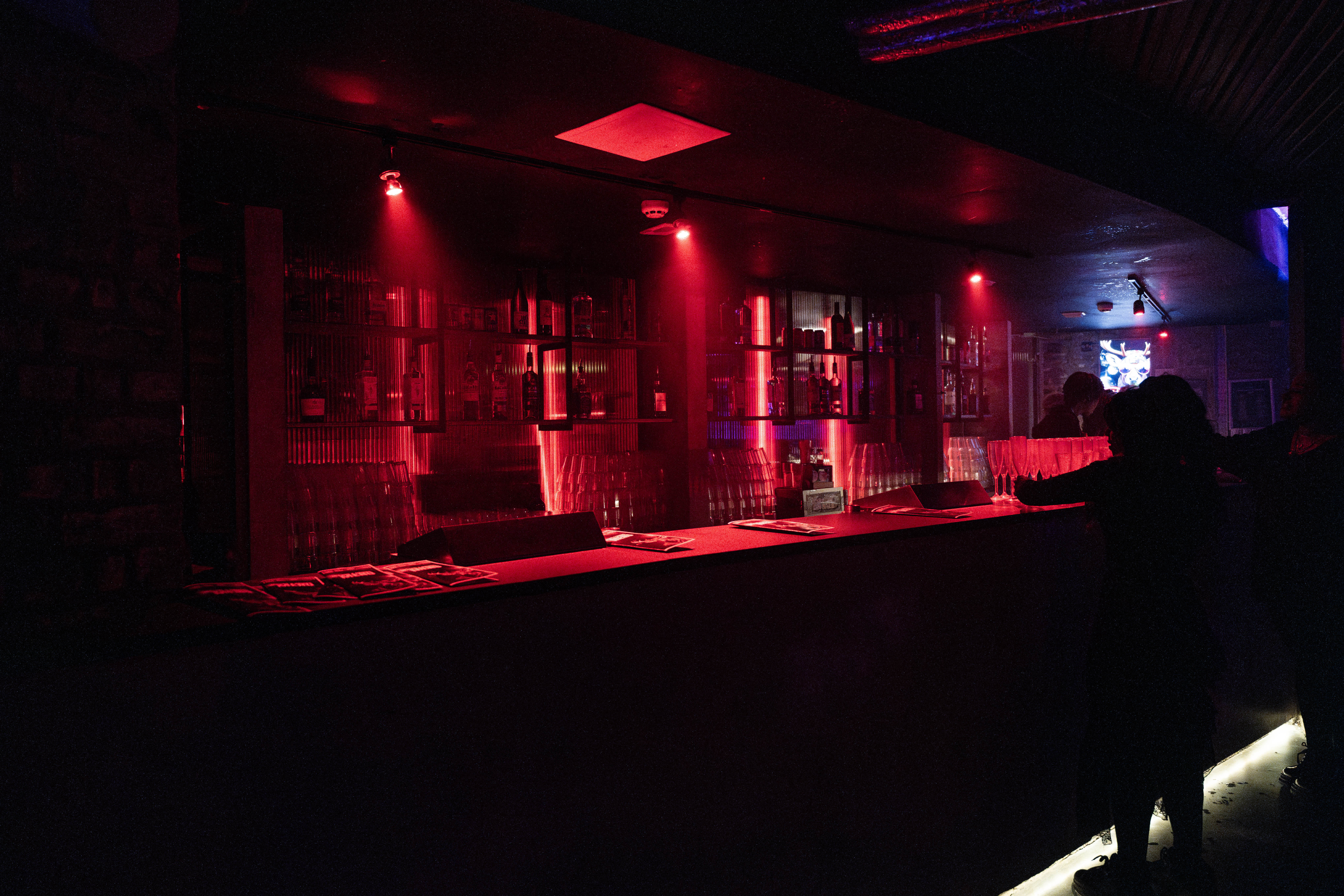 Exclusive hire - Corporate/Christmas party 2