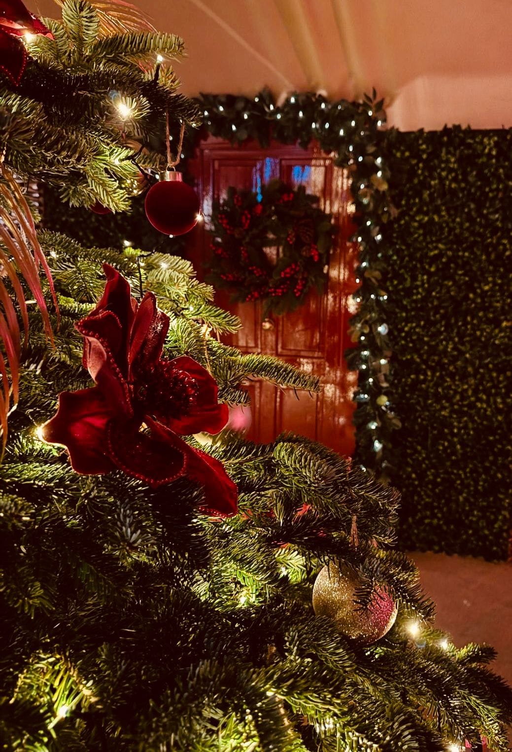 Nordic Nights Event Venue, Leeds - Winter 2026 11