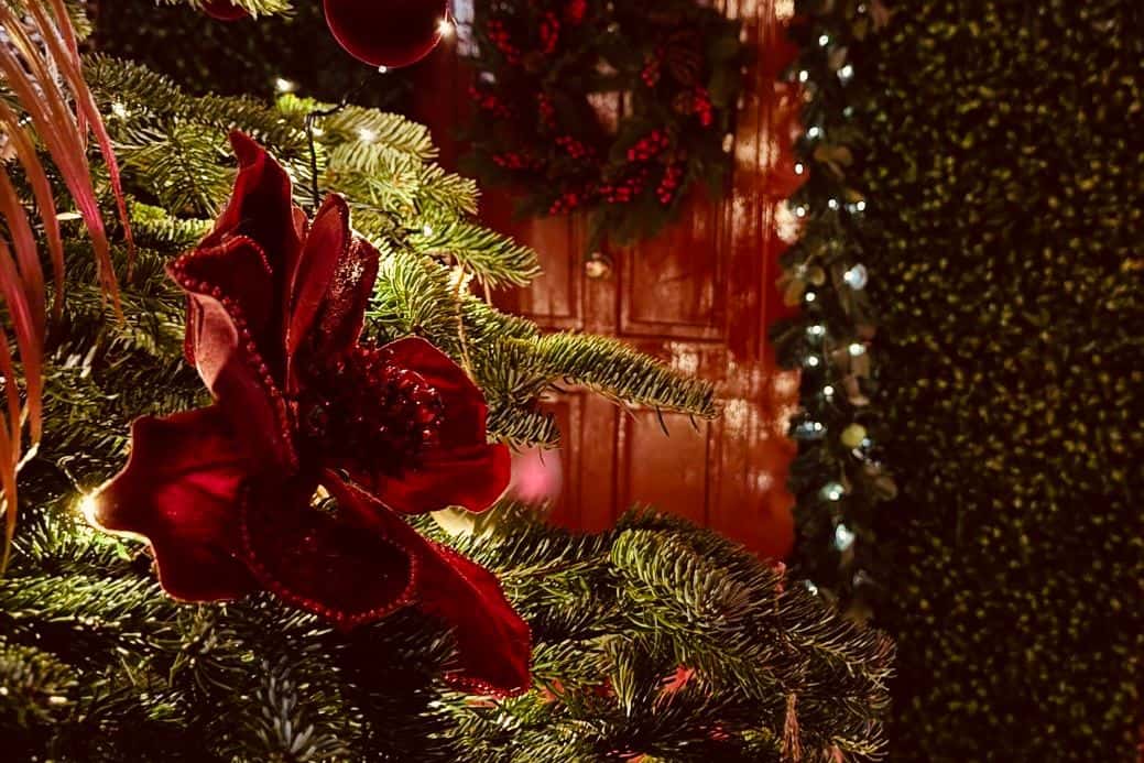 Nordic Nights Event Venue, Leeds - Winter 2026 11