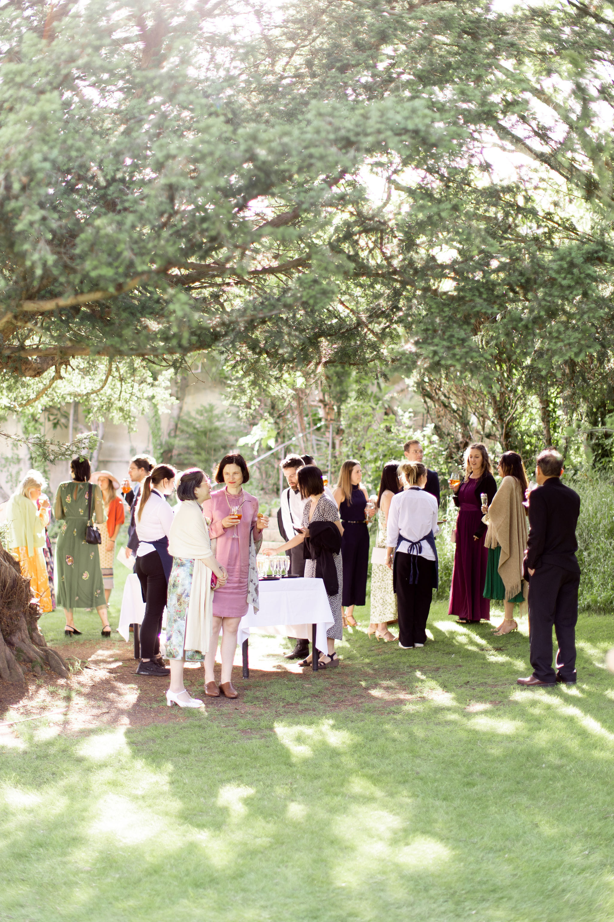 Mount Vernon Lawn and Pebble Garden 0