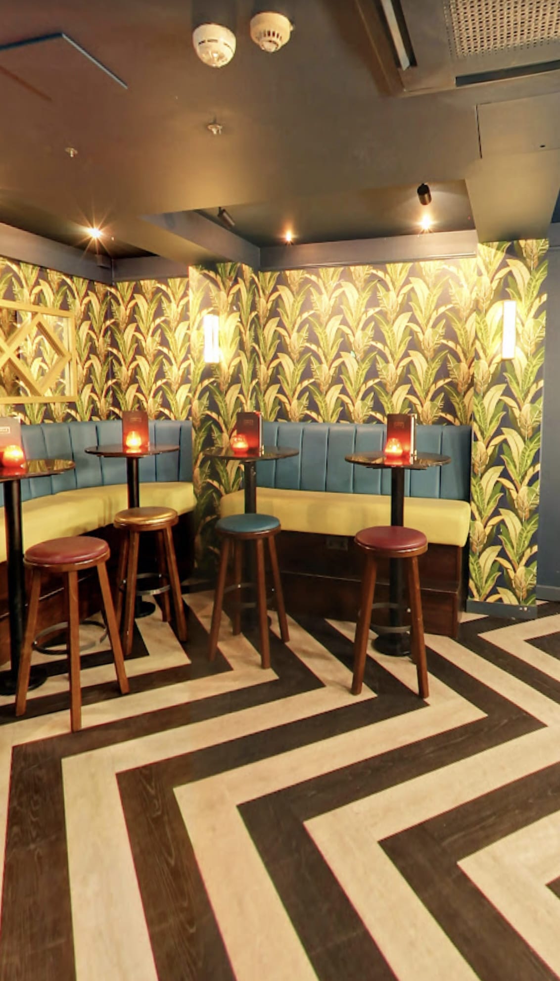 HOLLYWOOD HILLS! STUDIO 66 4