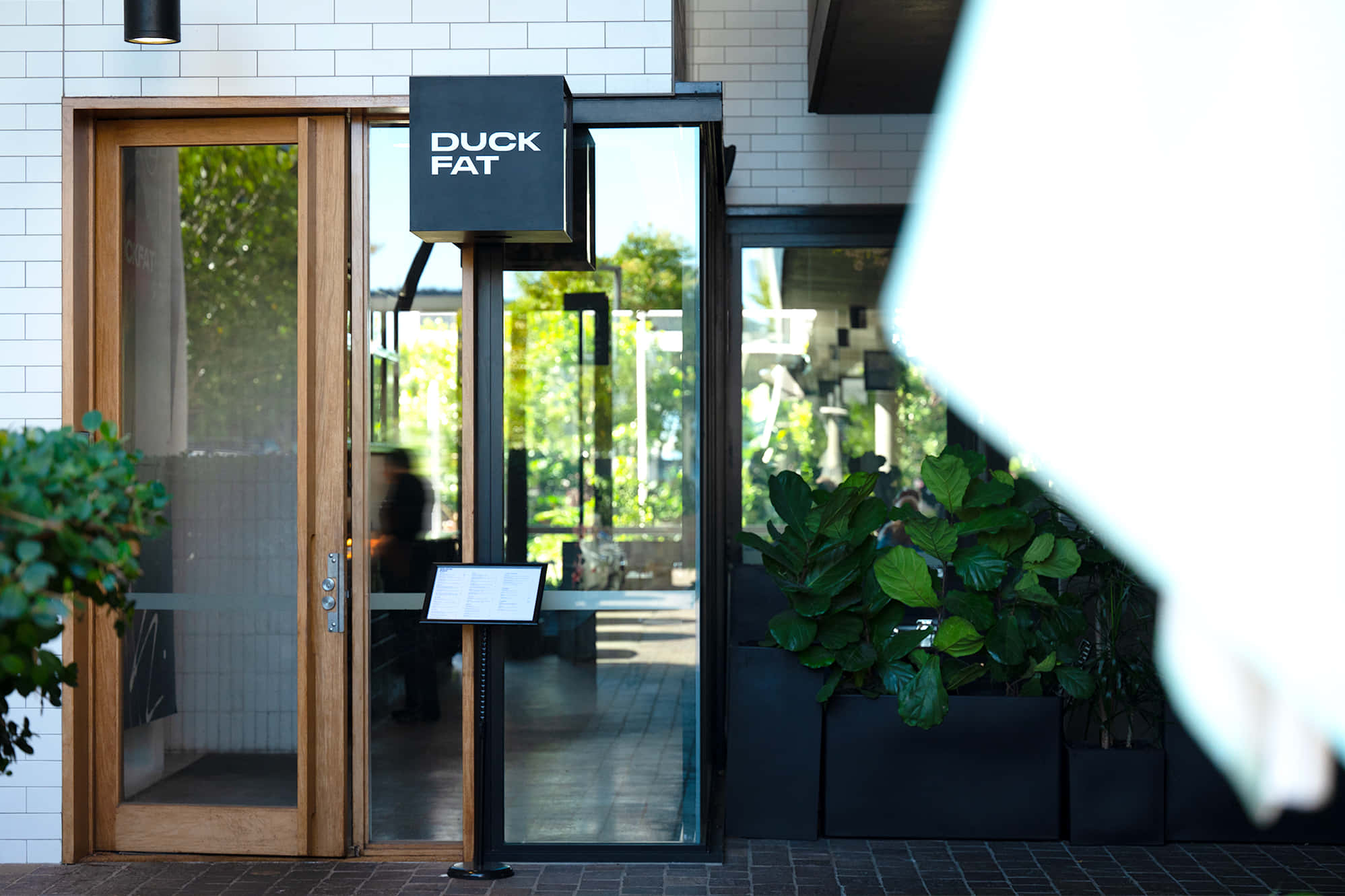 3. DUCKFAT – Indoor & Outdoor 1