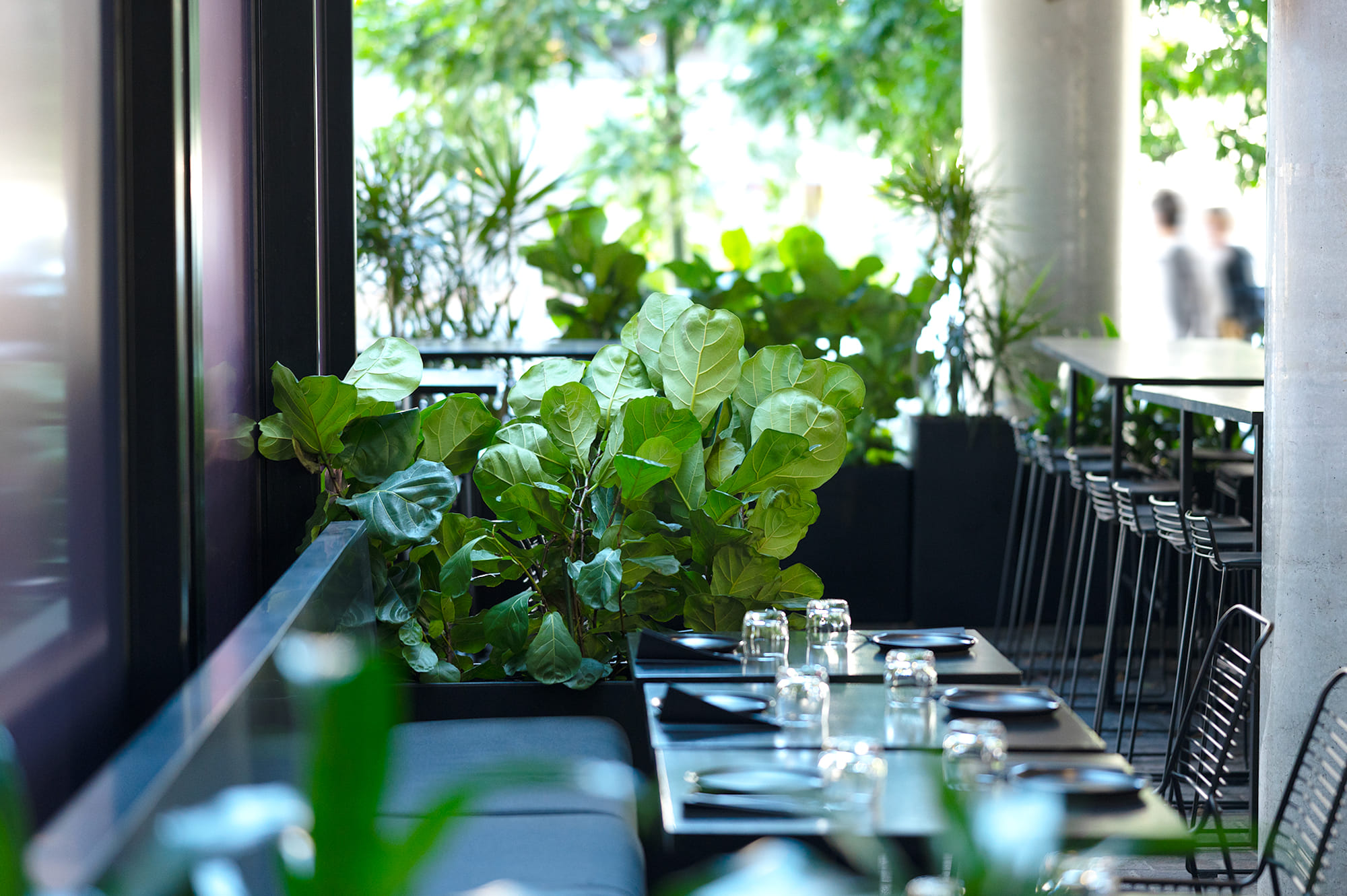 3. DUCKFAT – Indoor & Outdoor 3