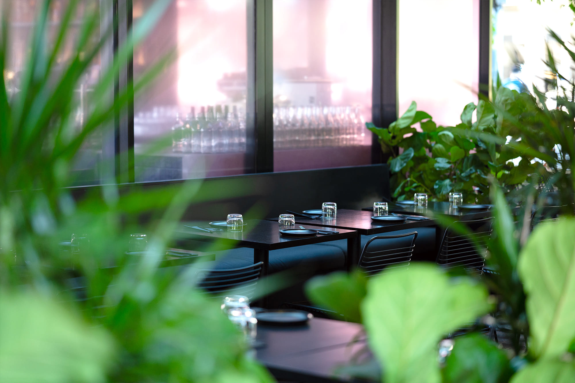 3. DUCKFAT – Indoor & Outdoor 2