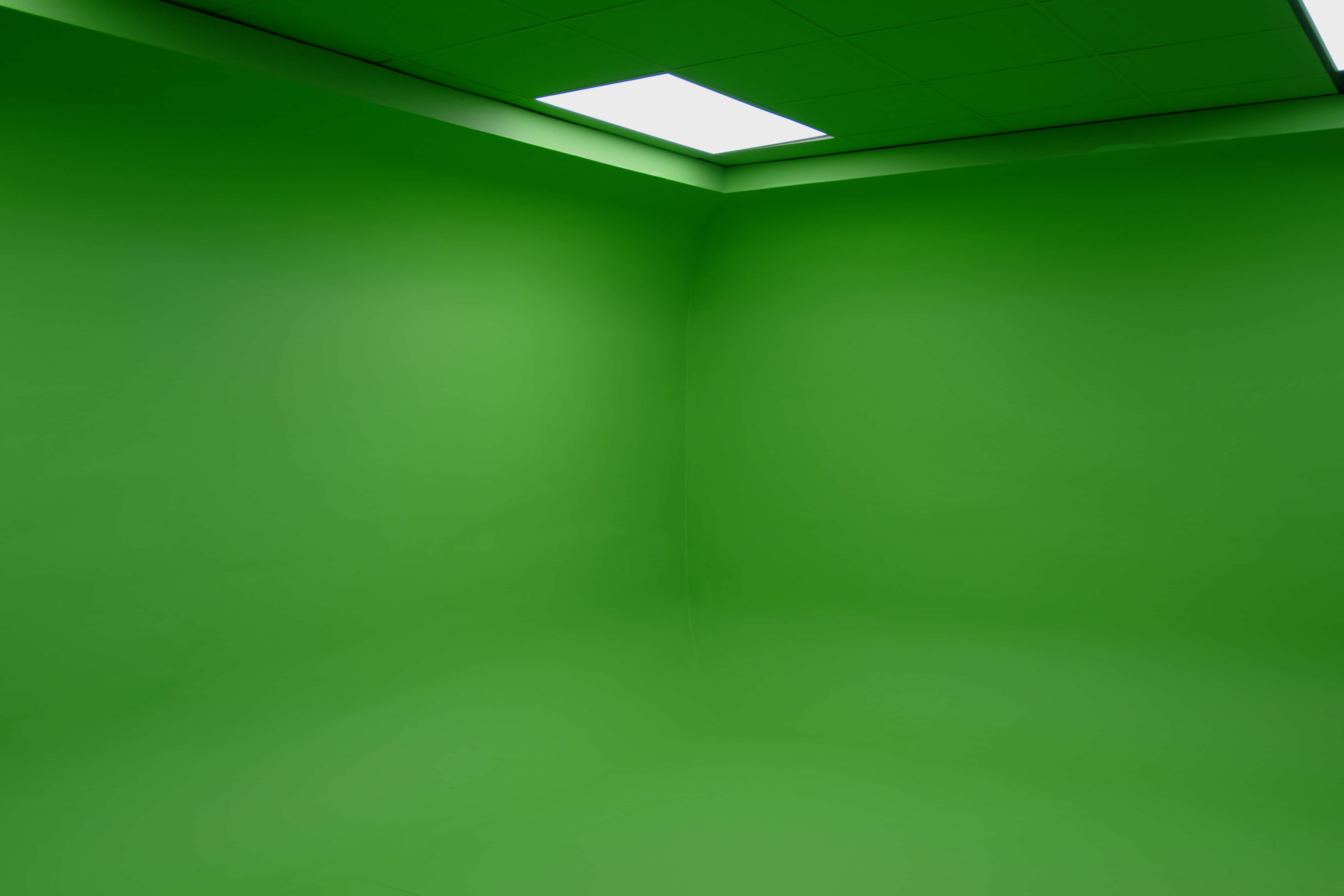 Green Cove (Dry Hire) 1