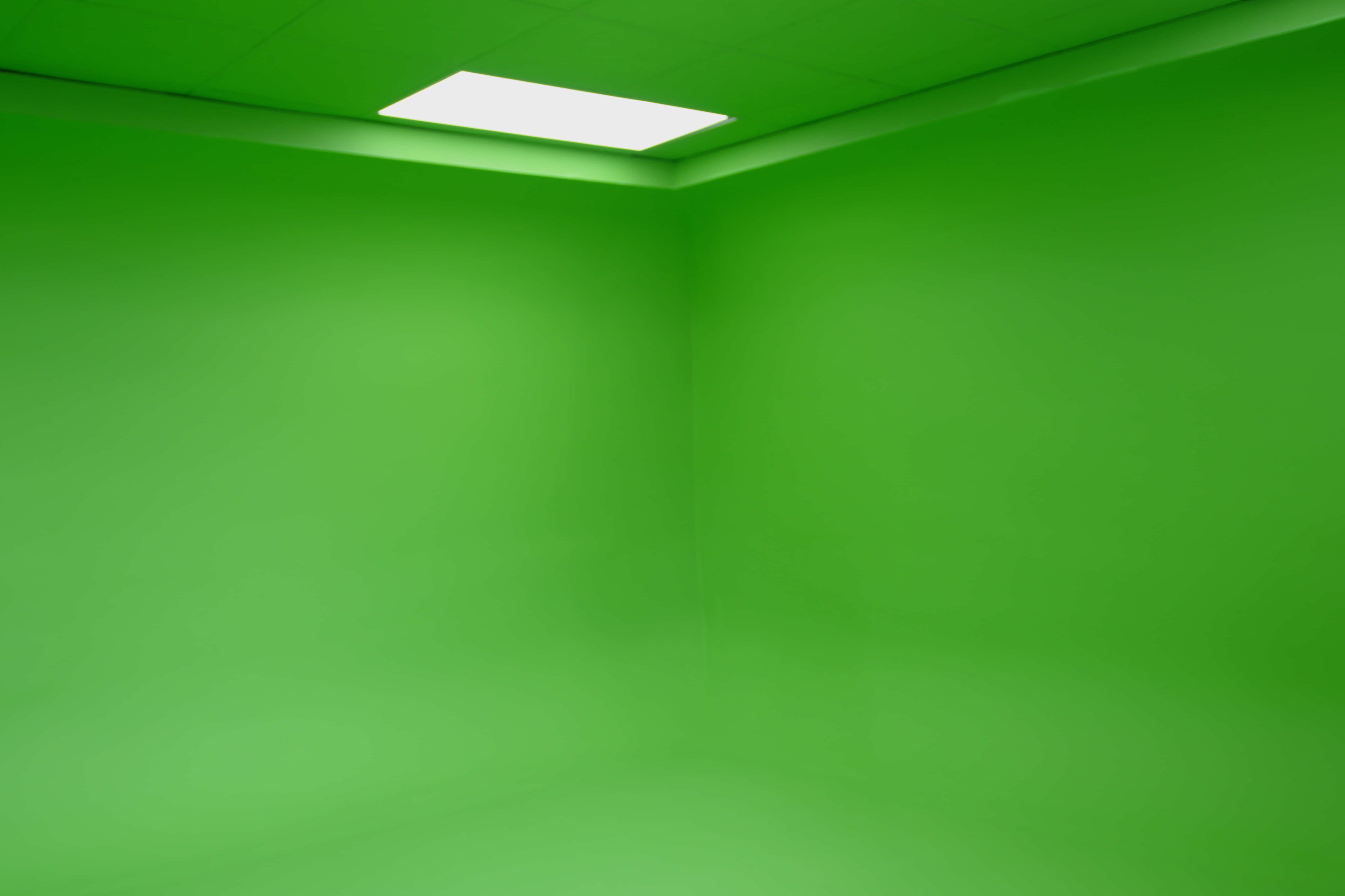 Green Cove (Dry Hire) 0