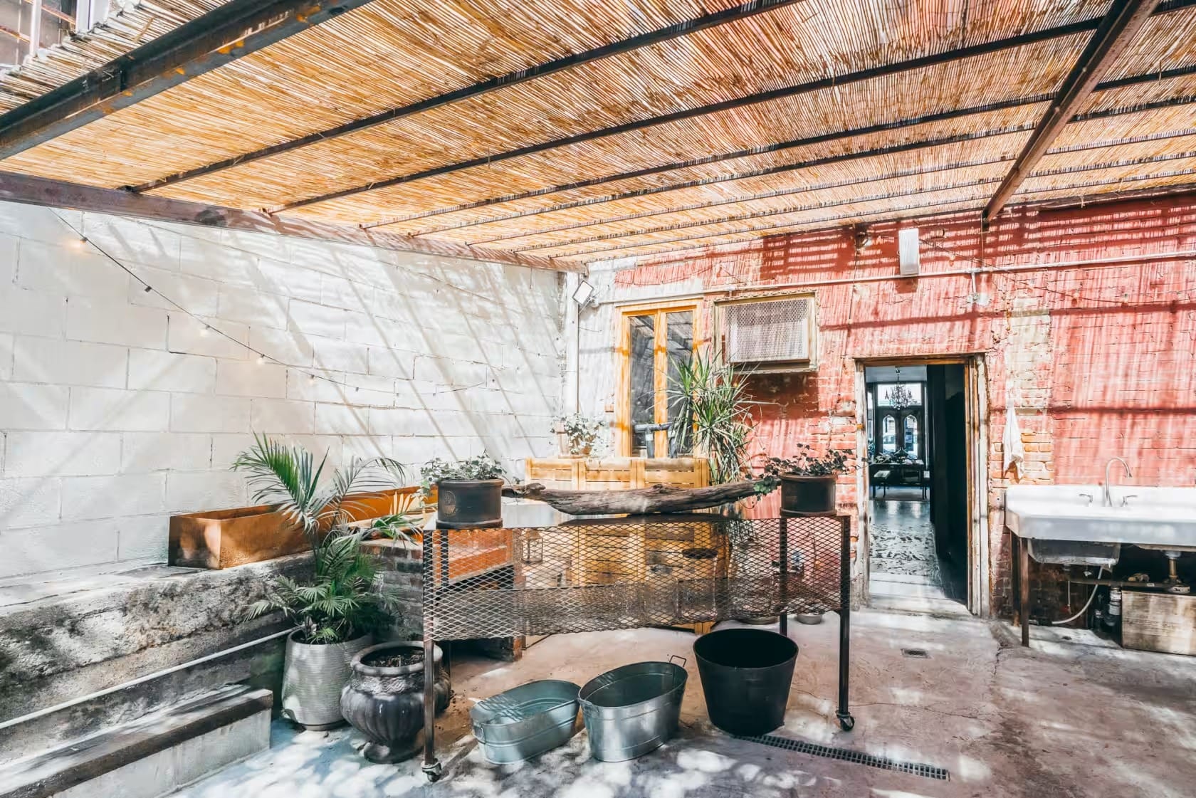 Rosa three hundred and eighty six - Space hire 1