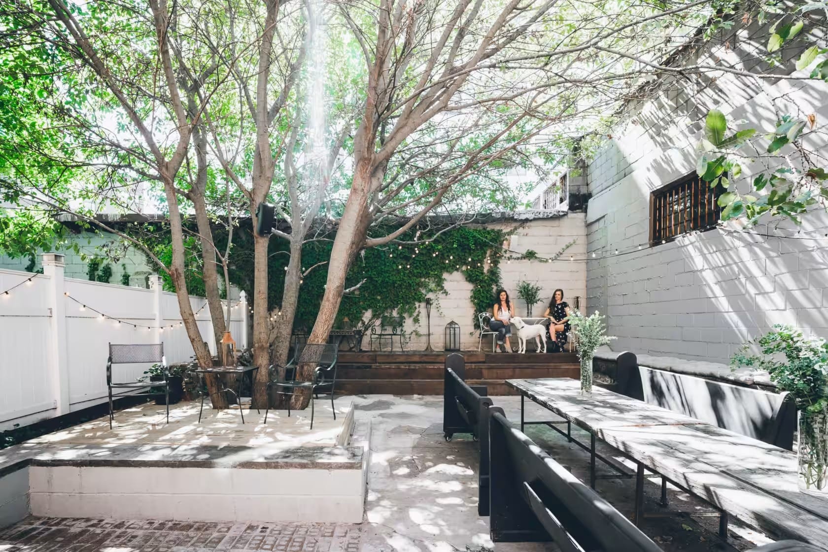 Rosa three hundred and eighty six - Space hire 2