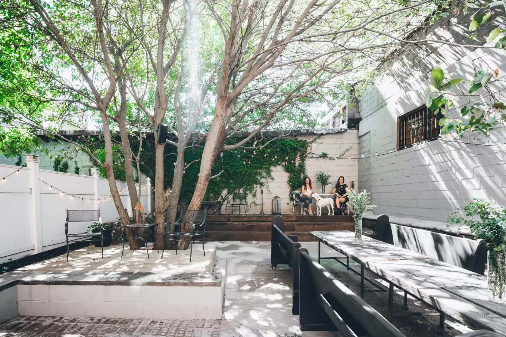 Rosa three hundred and eighty six - Space hire 2