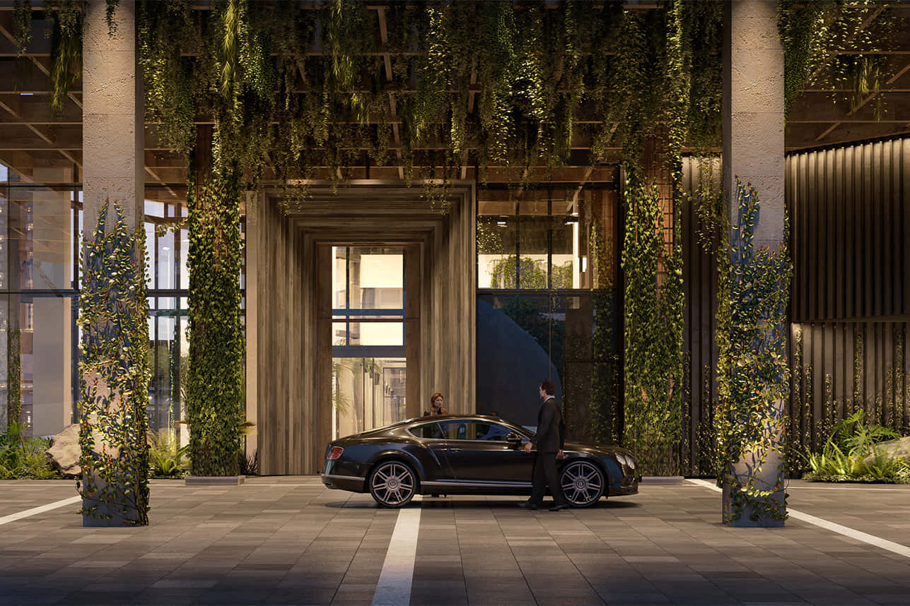 Lilly Pilly Lounge 2