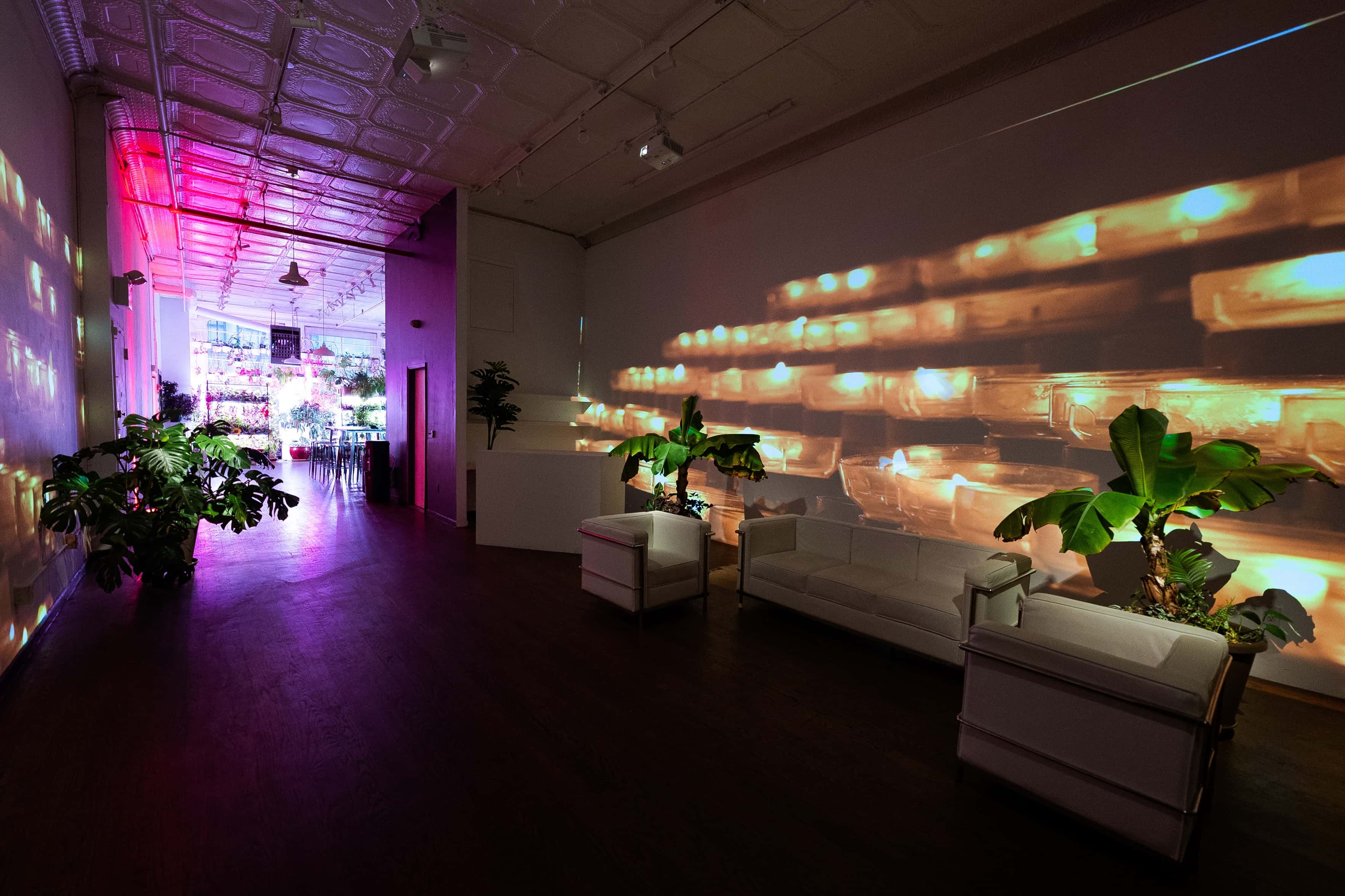 LUME Studios - Space hire 0