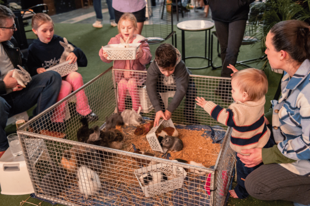 Rokeby100 - Social Daytime 1