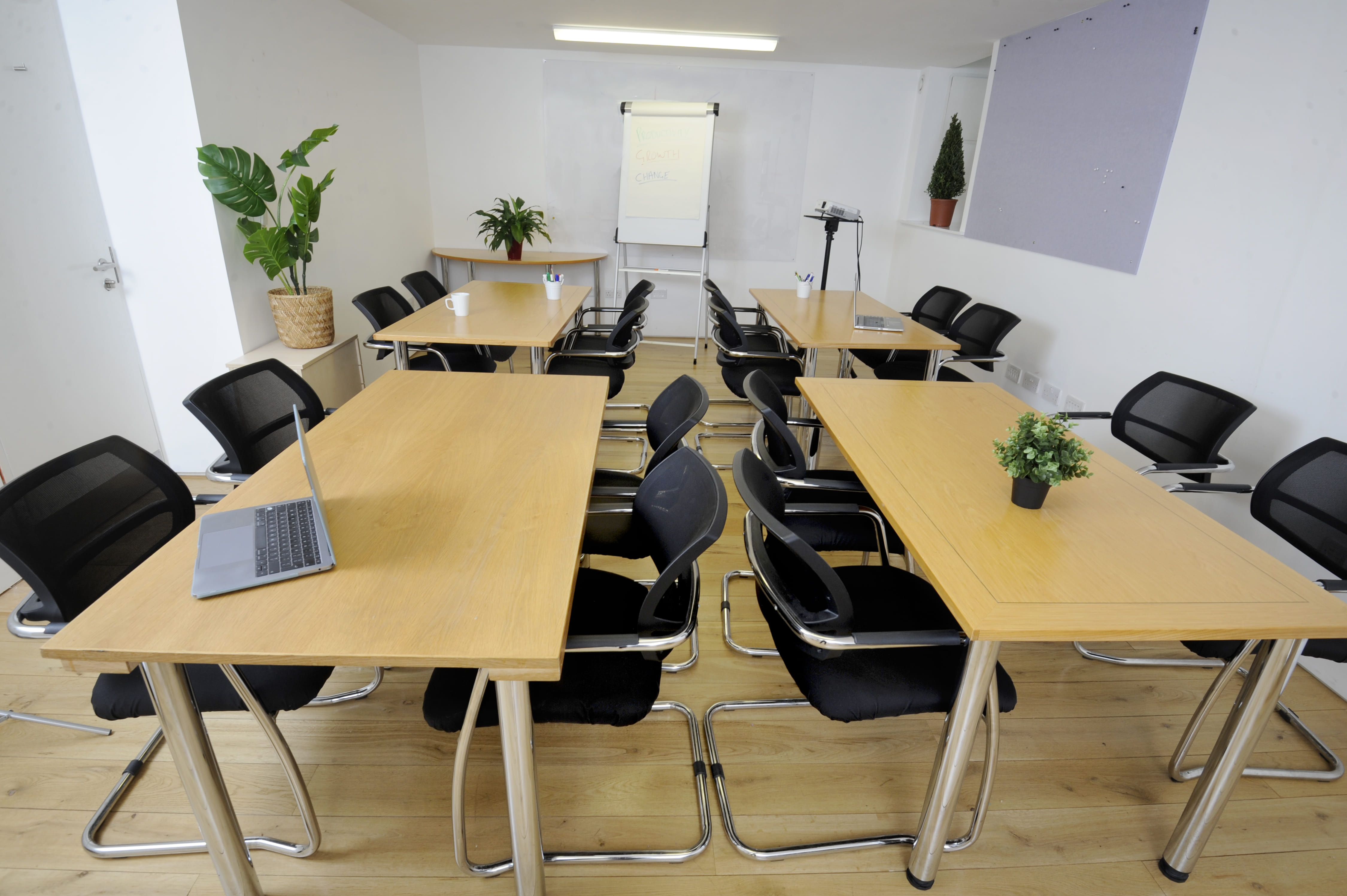 The Whole Basement  6