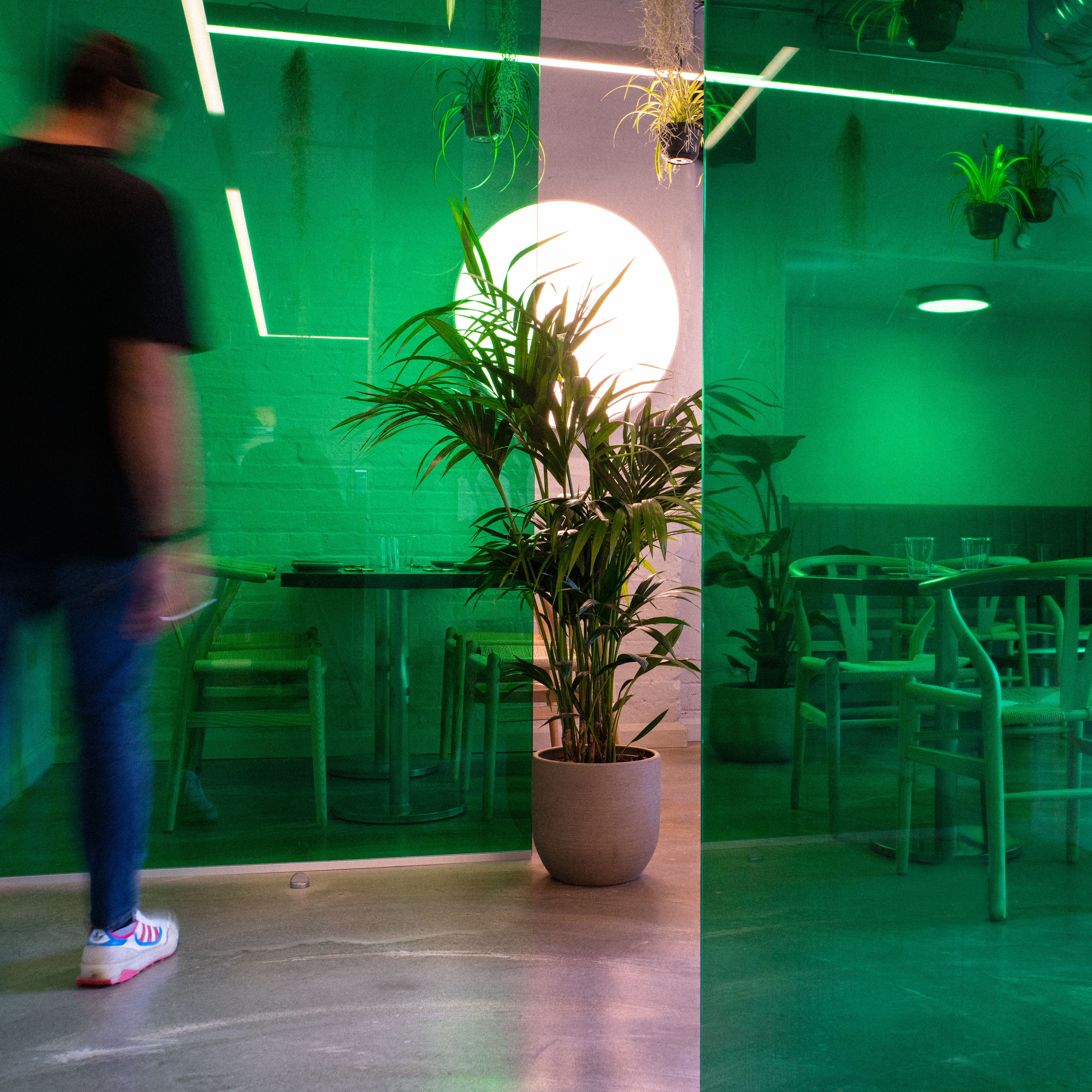 Lucky Tortoise Temple Bar 5