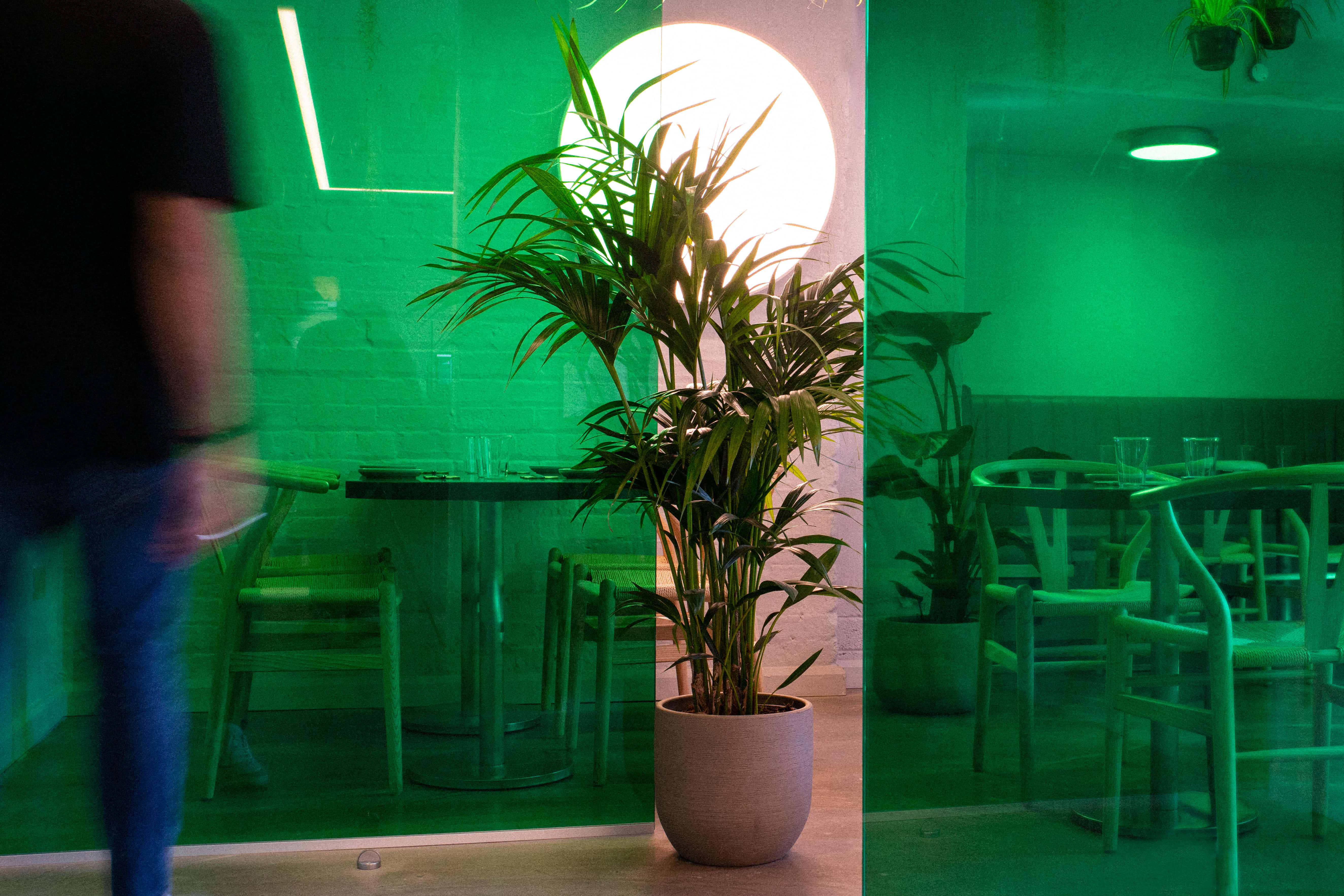 Lucky Tortoise Temple Bar 5