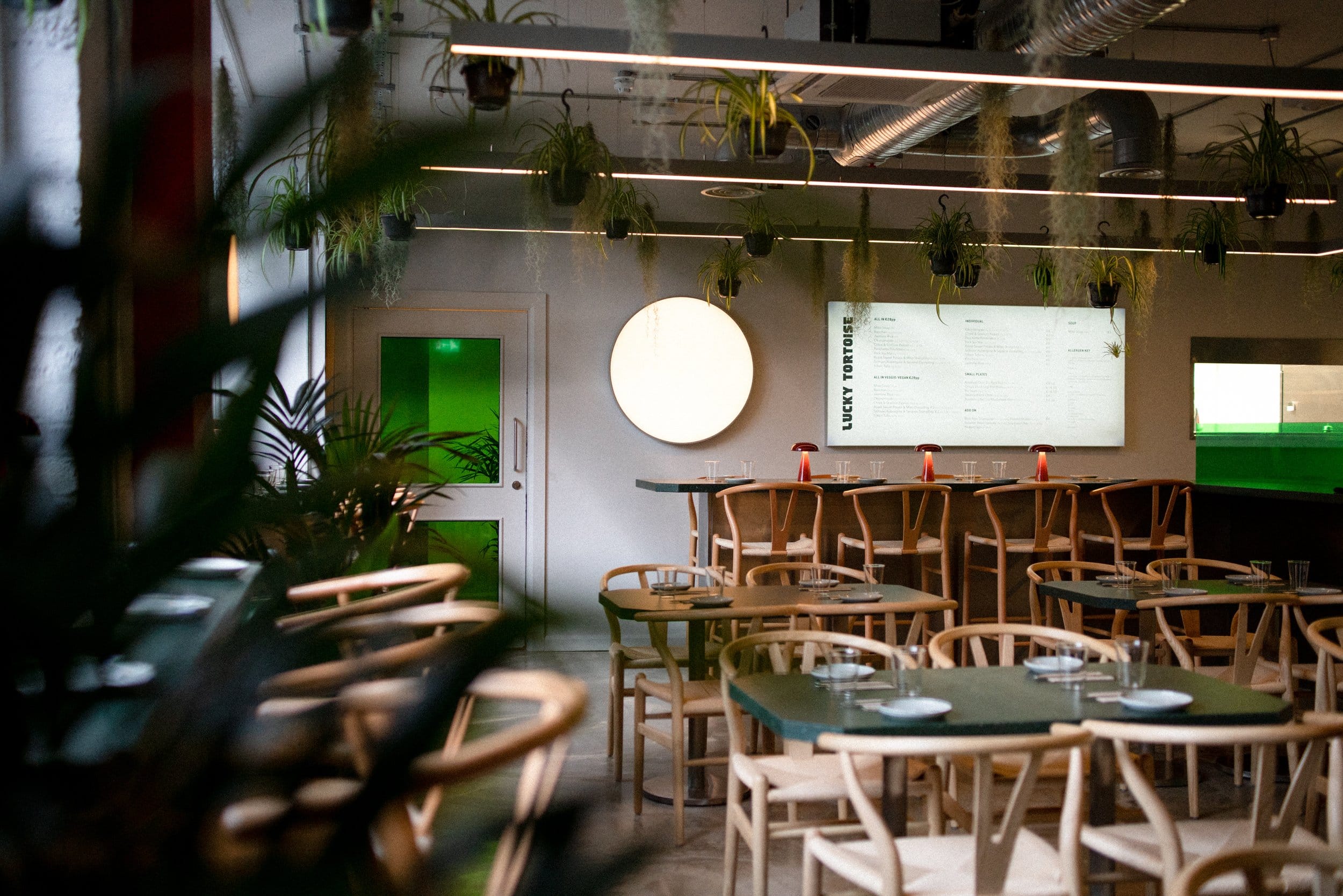 Lucky Tortoise Temple Bar 3