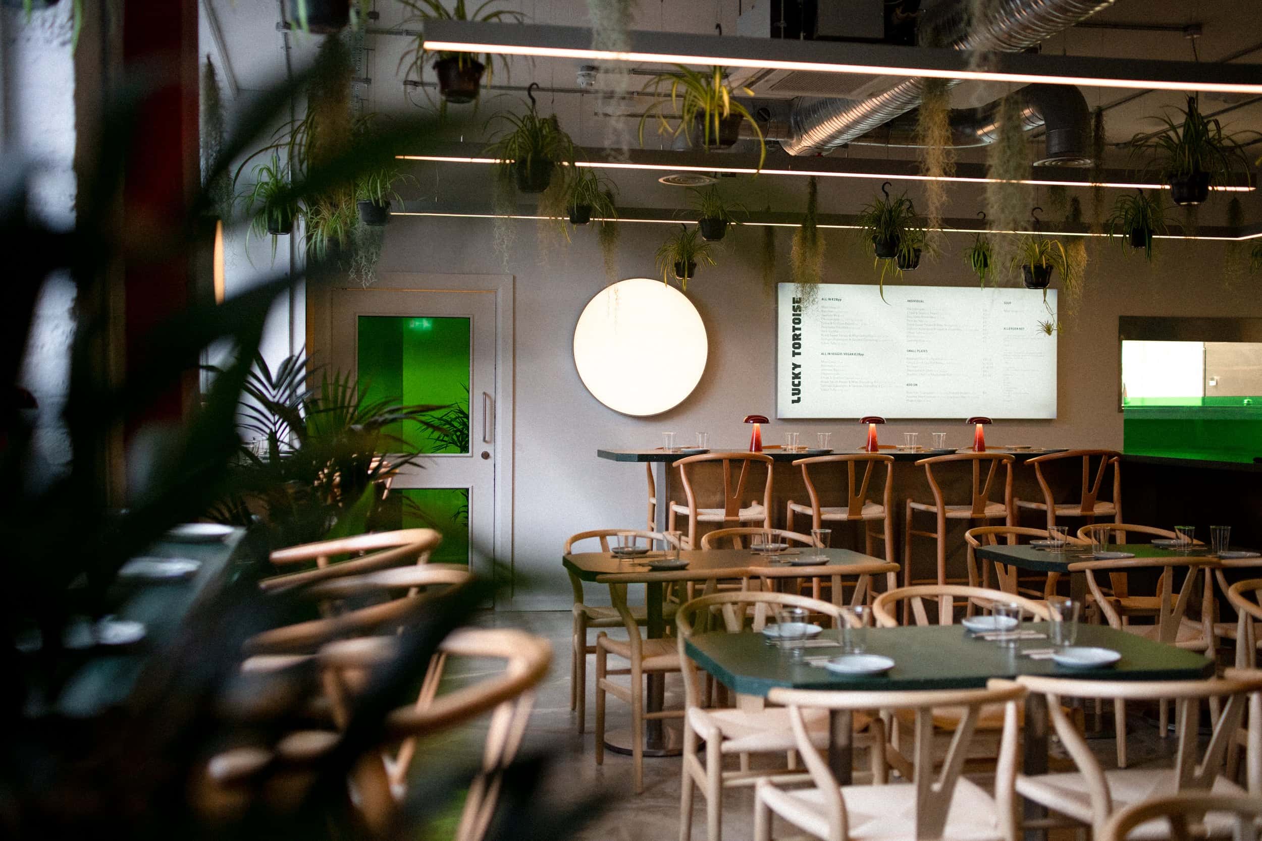 Lucky Tortoise Temple Bar 3