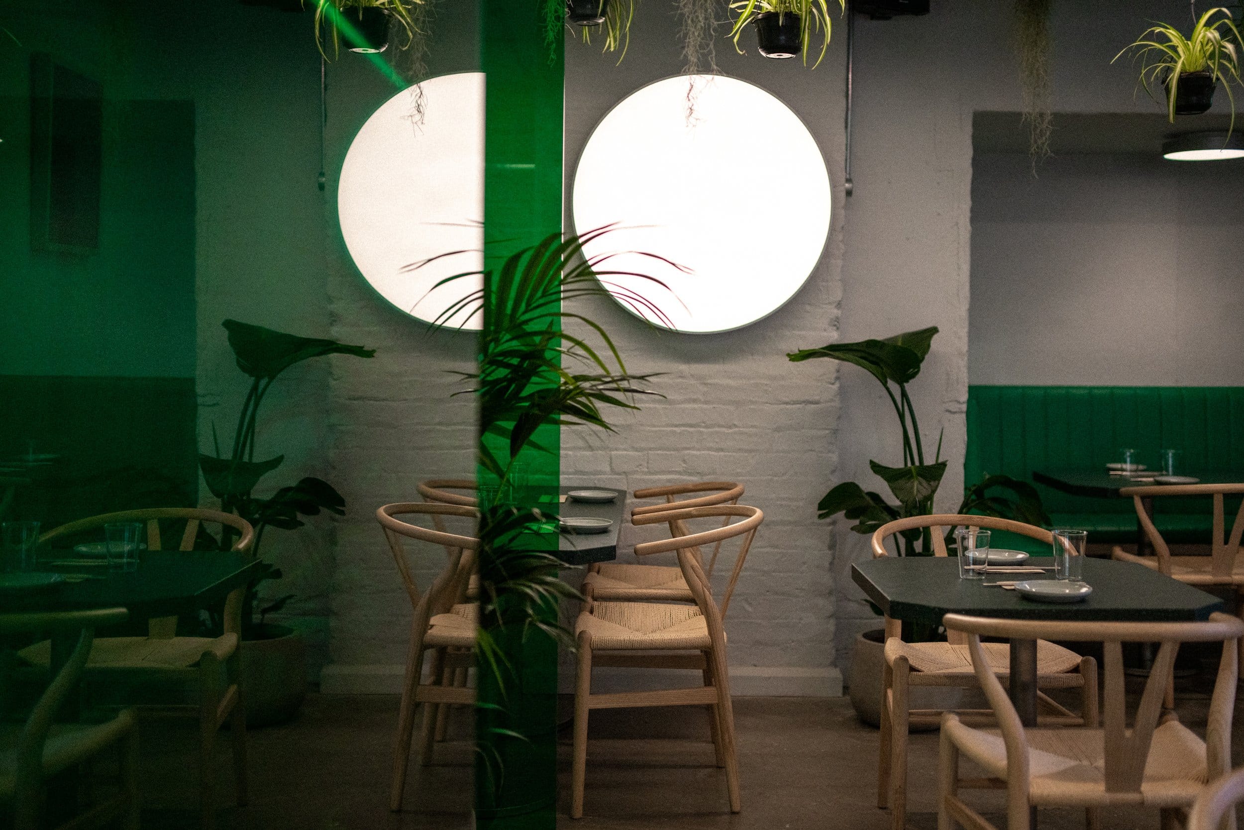 Lucky Tortoise Temple Bar 9