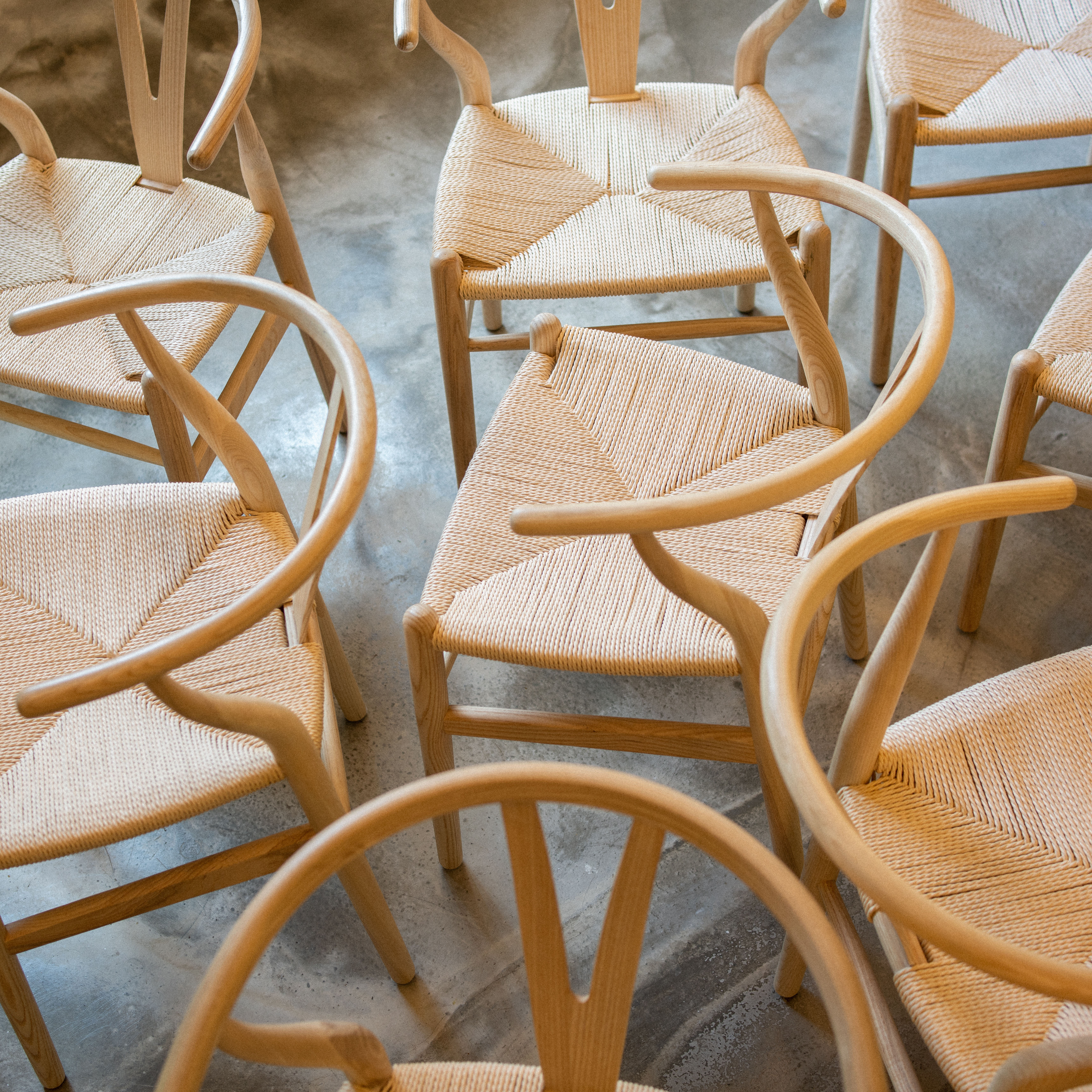 Lucky Tortoise Temple Bar 6