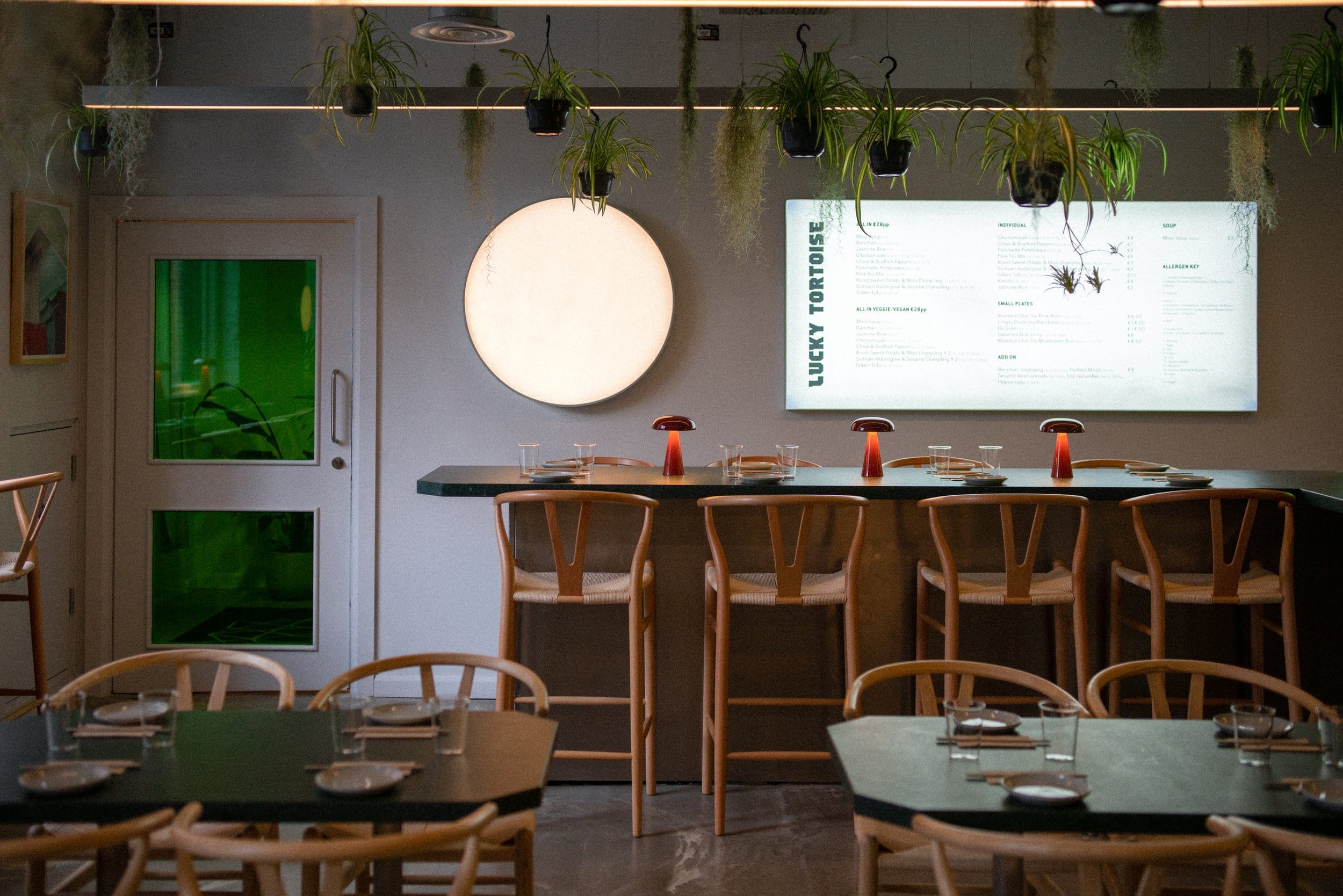 Lucky Tortoise Temple Bar 4