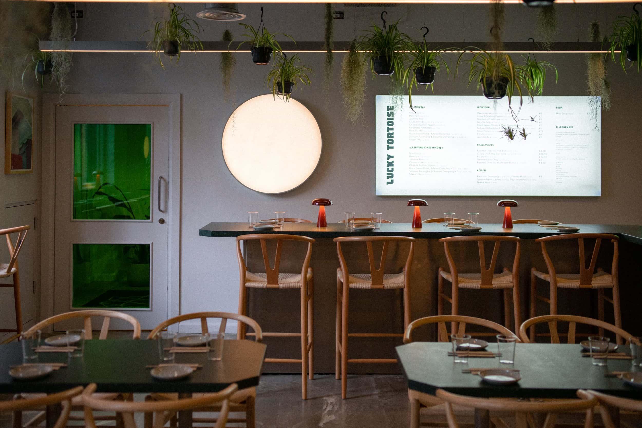 Lucky Tortoise Temple Bar 4