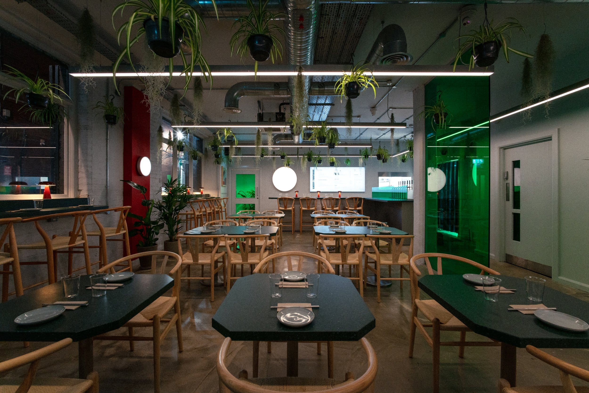 Lucky Tortoise Temple Bar 2