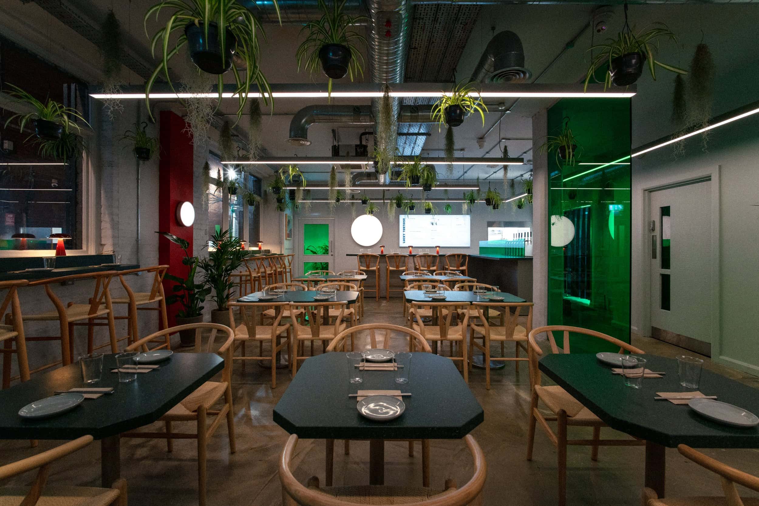 Lucky Tortoise Temple Bar 2