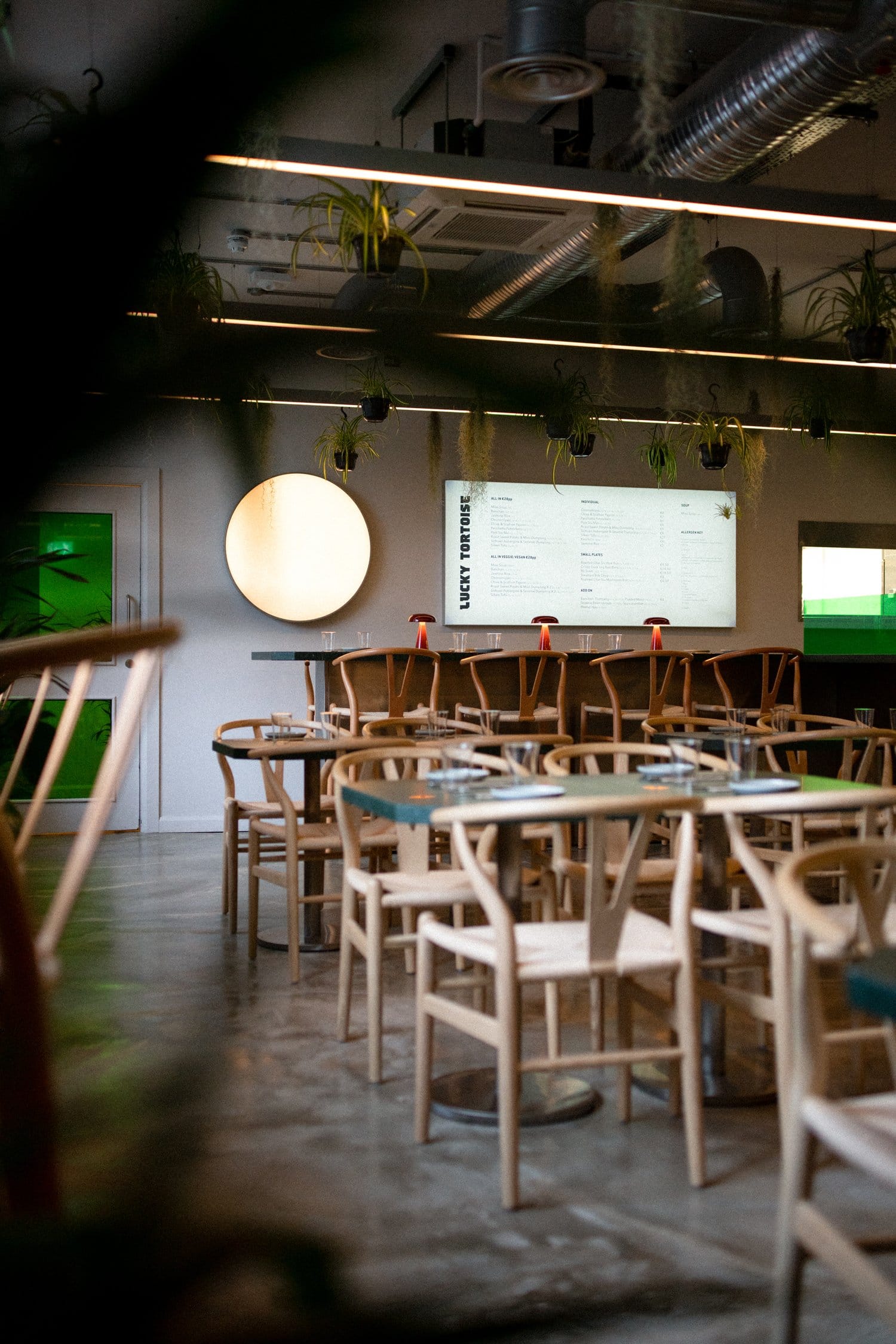 Lucky Tortoise Temple Bar 8