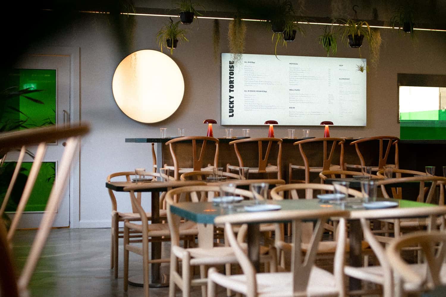 Lucky Tortoise Temple Bar 8