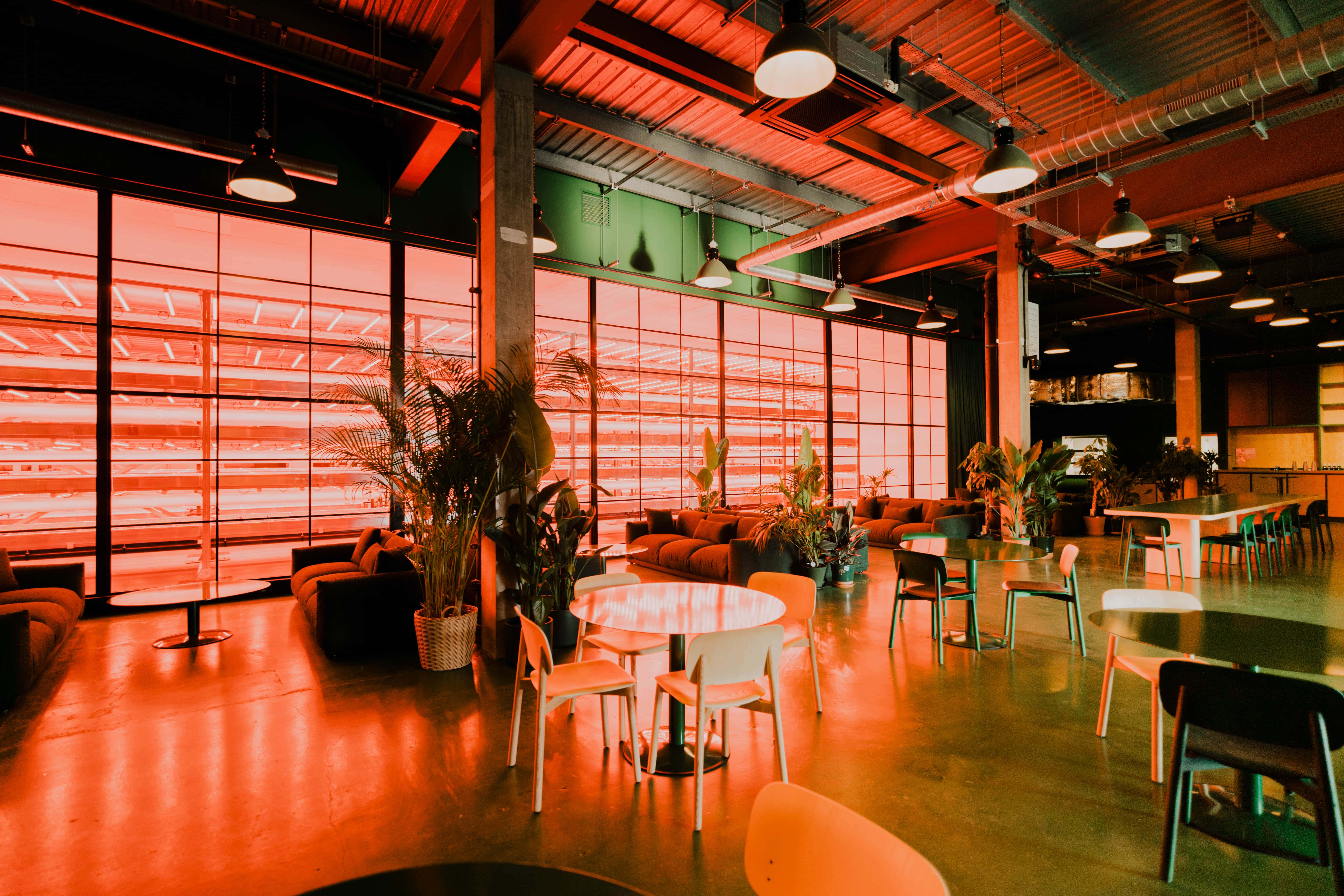 Food Hall and Cafe Bar 7