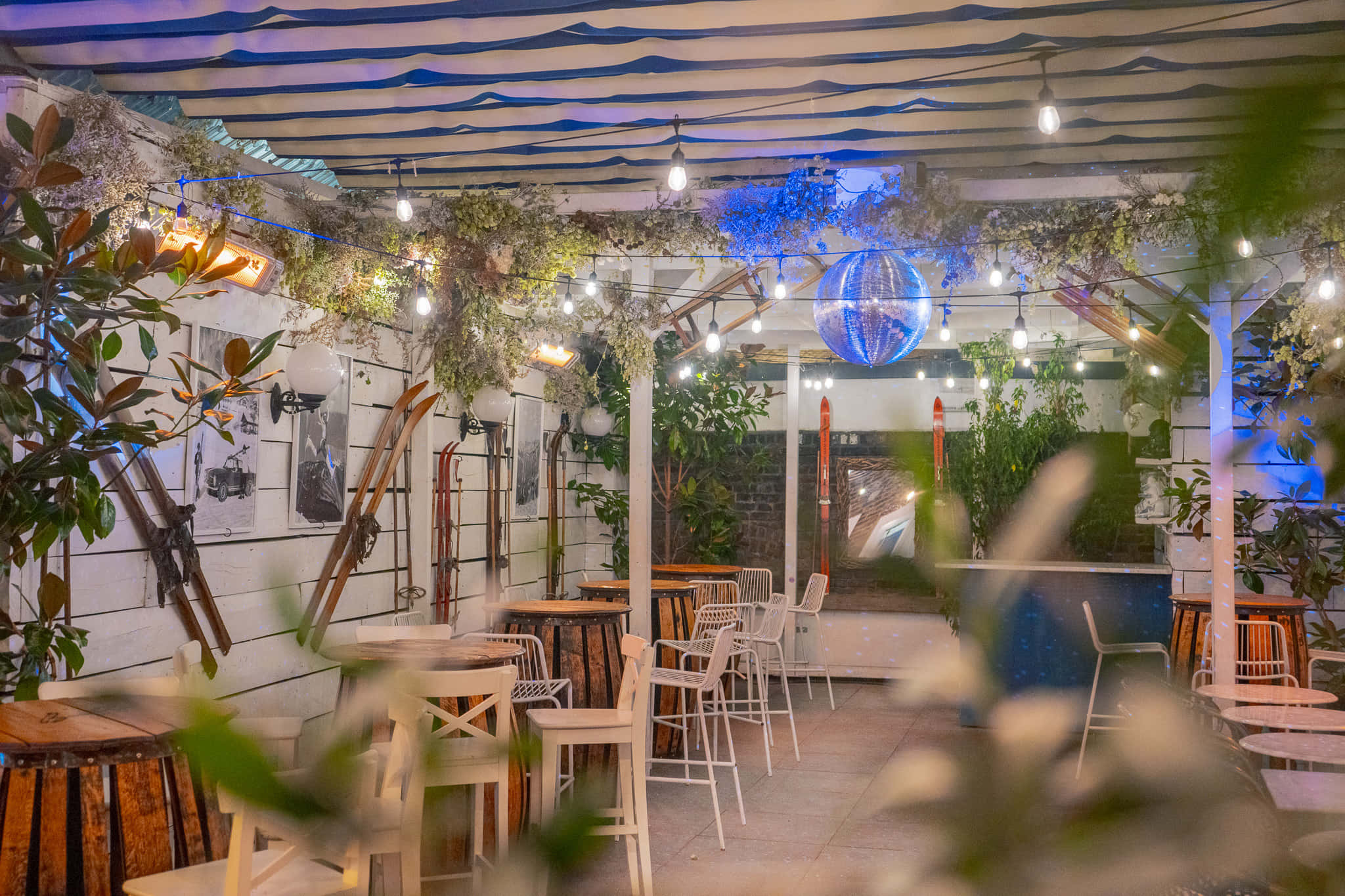 Winter at the Oasis 20