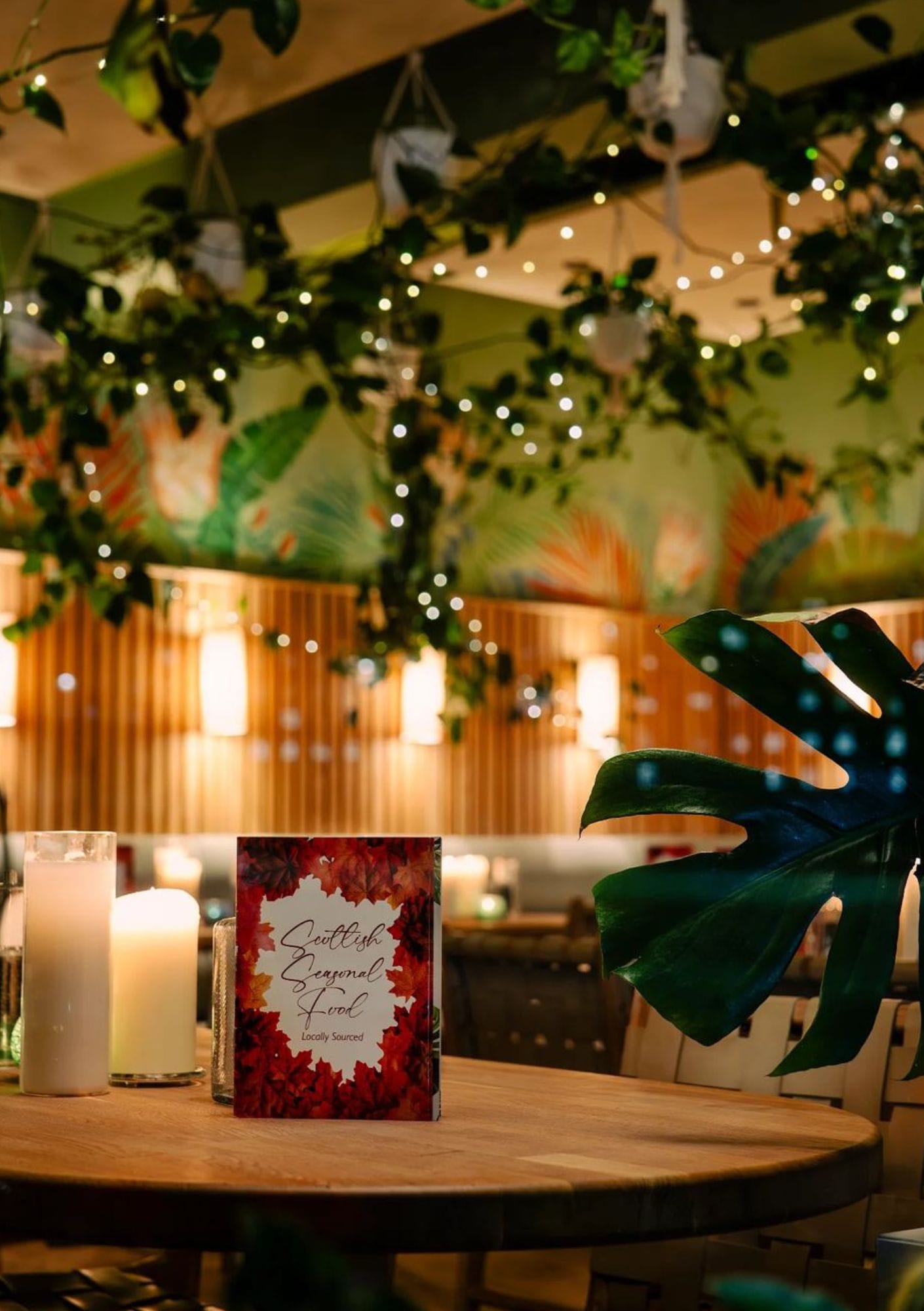 Hot Toddy Restaurant  1