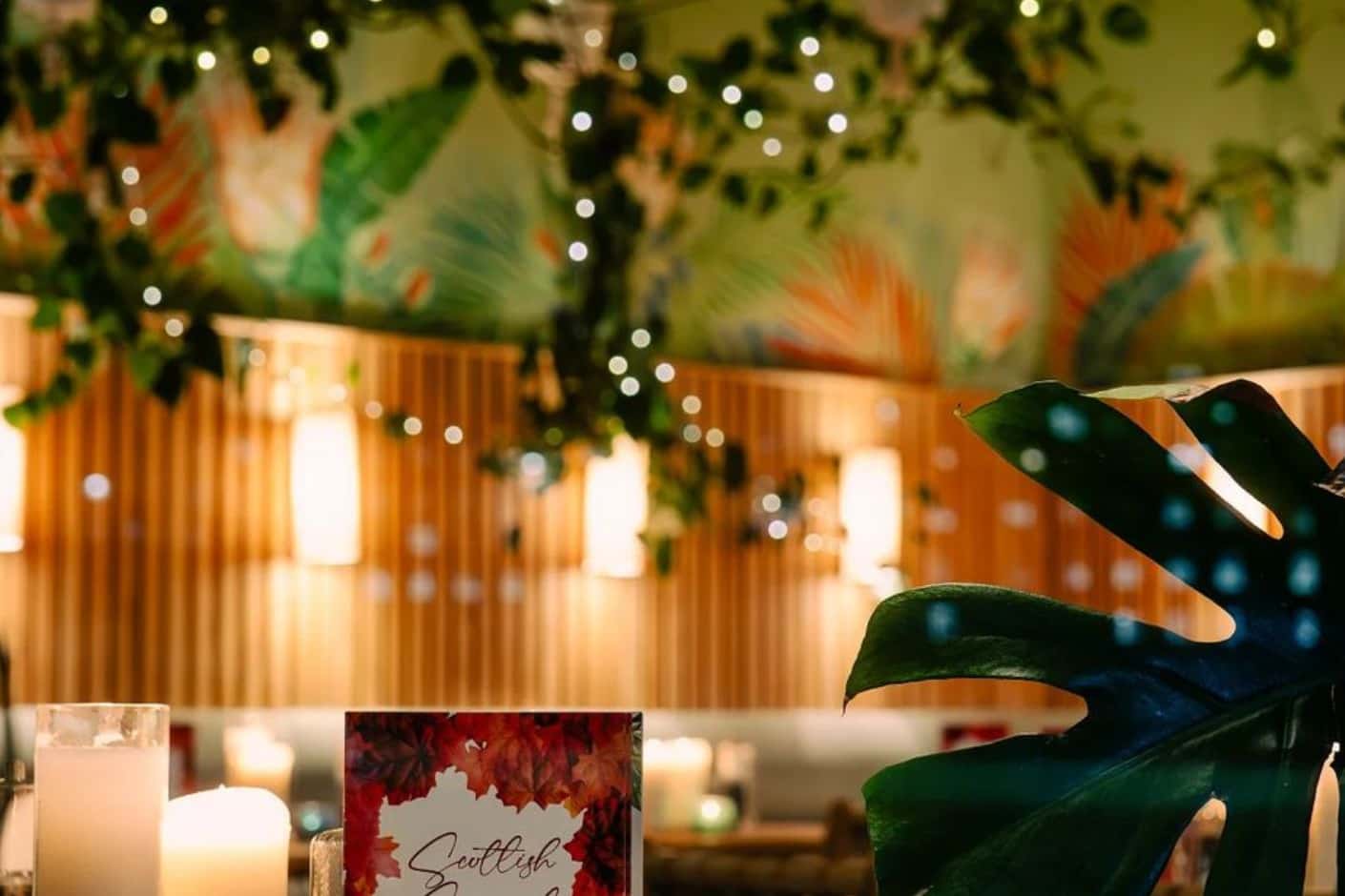 Hot Toddy Restaurant 1