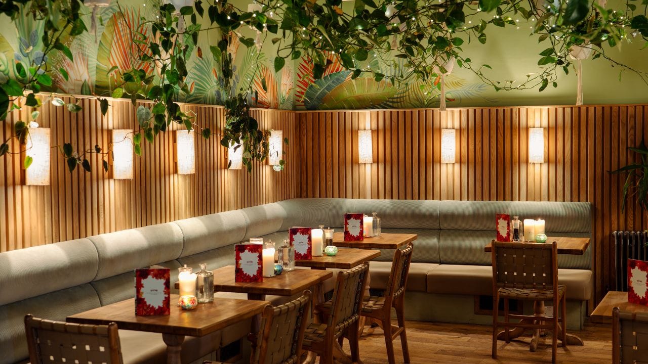 Hot Toddy Restaurant 