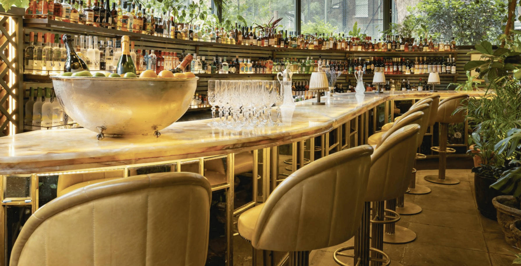 The Oasis Bar  - semi-private 2