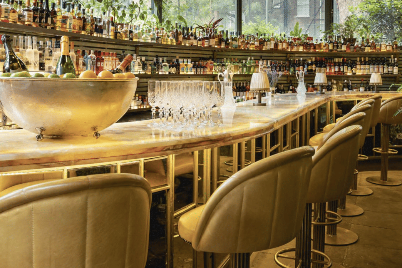 The Oasis Bar - semi-private 2