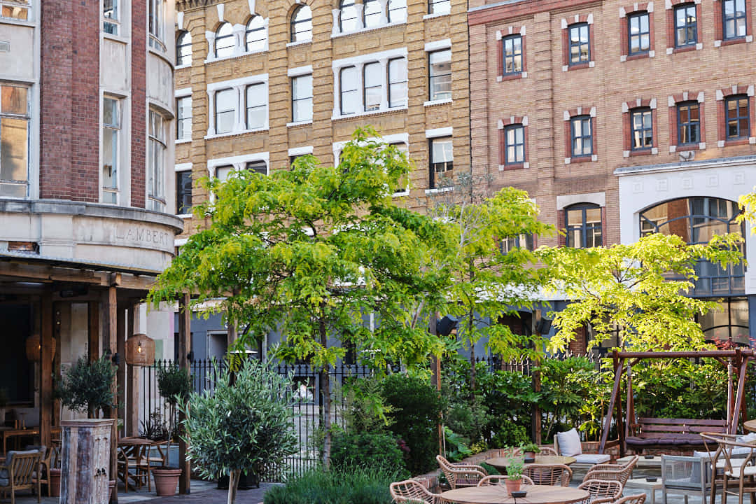 Terrace & Garden Bar 8