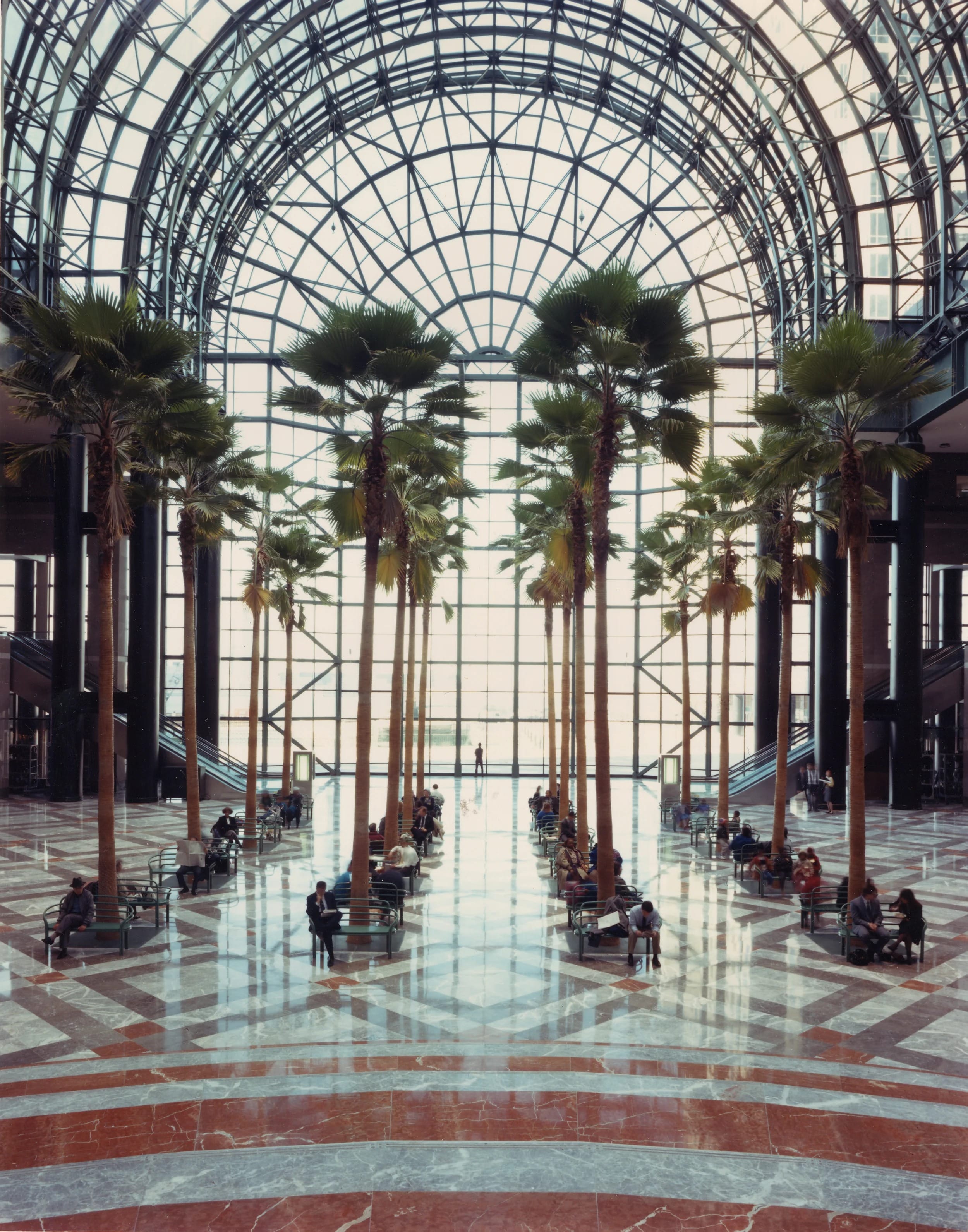 Winter Garden - Space hire 3