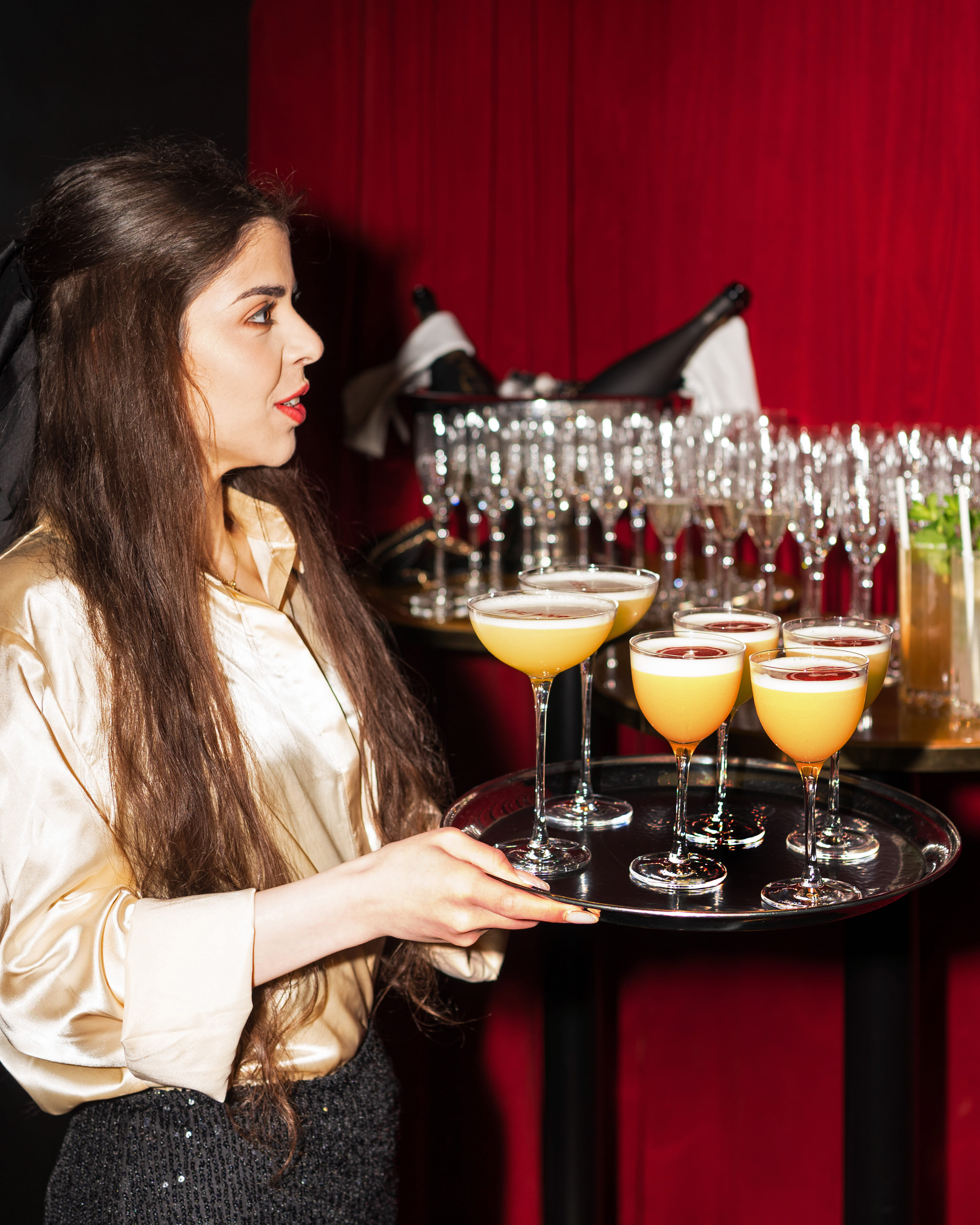 The Knox - VIP area  2