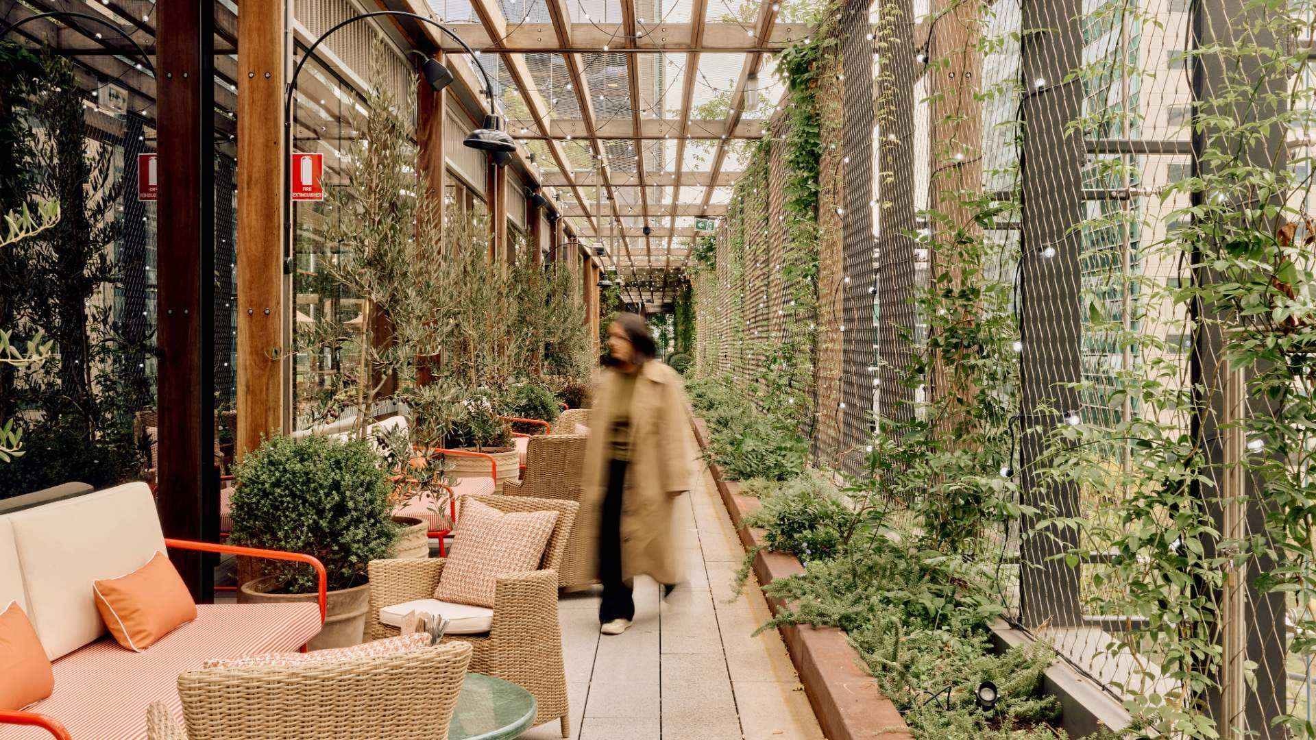 The Roof Top-Outside 1