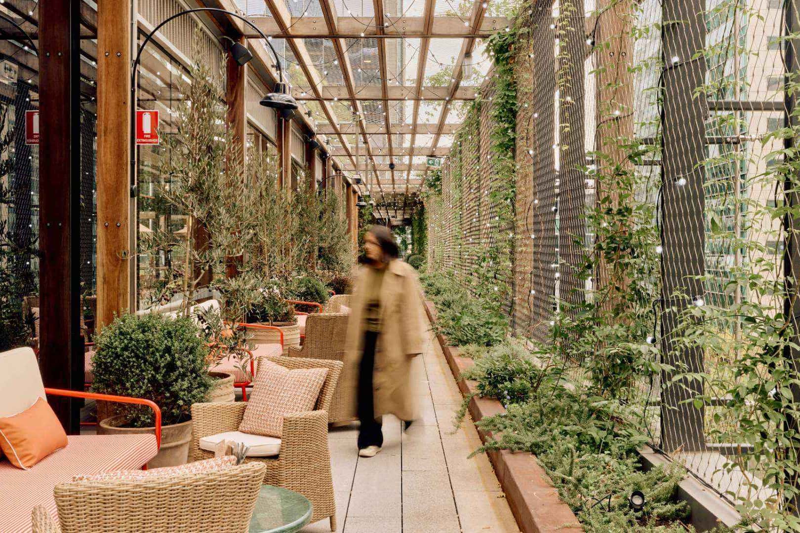 The Roof Top-Outside 1