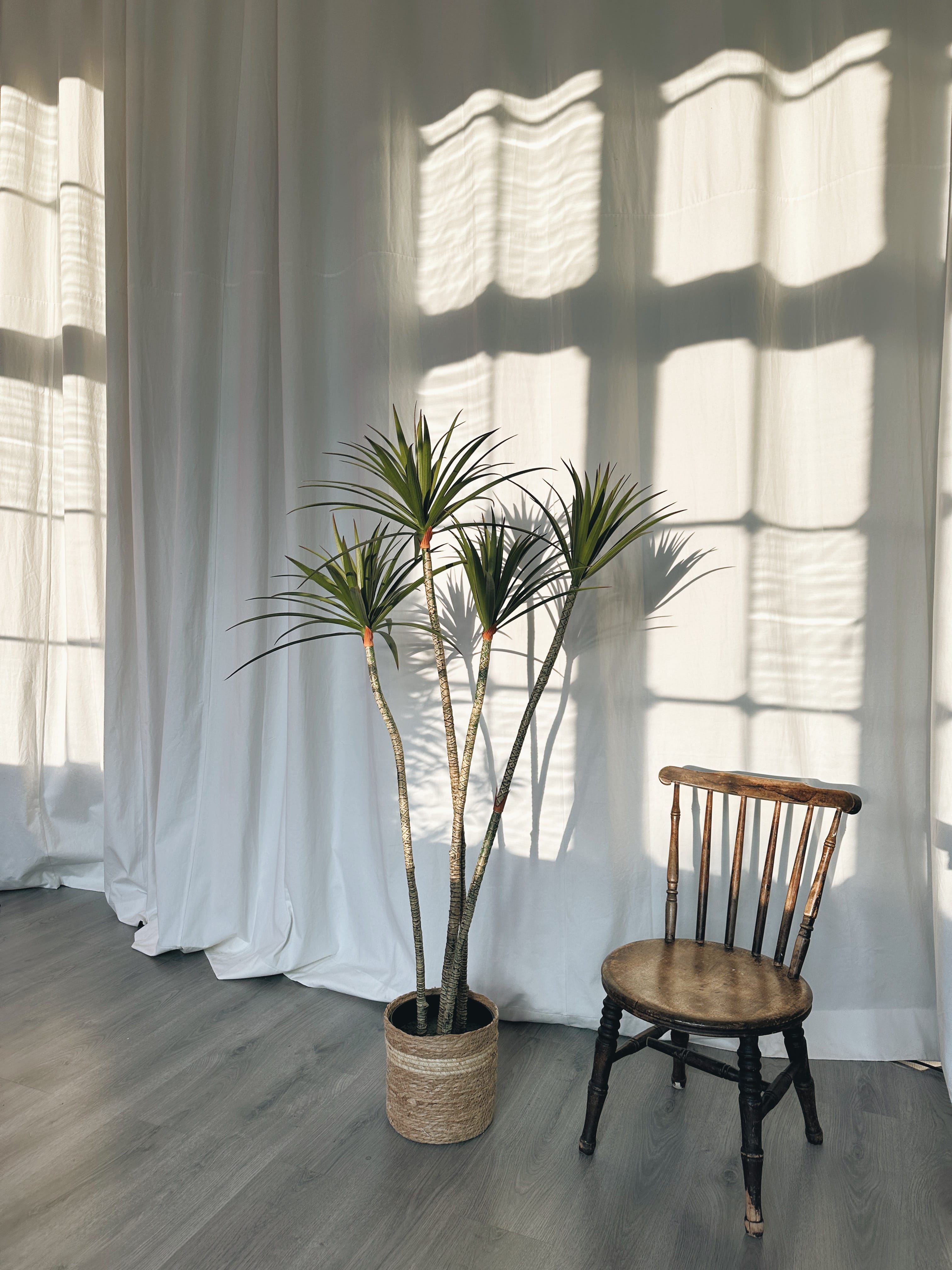 Clapham Photo Studio 15