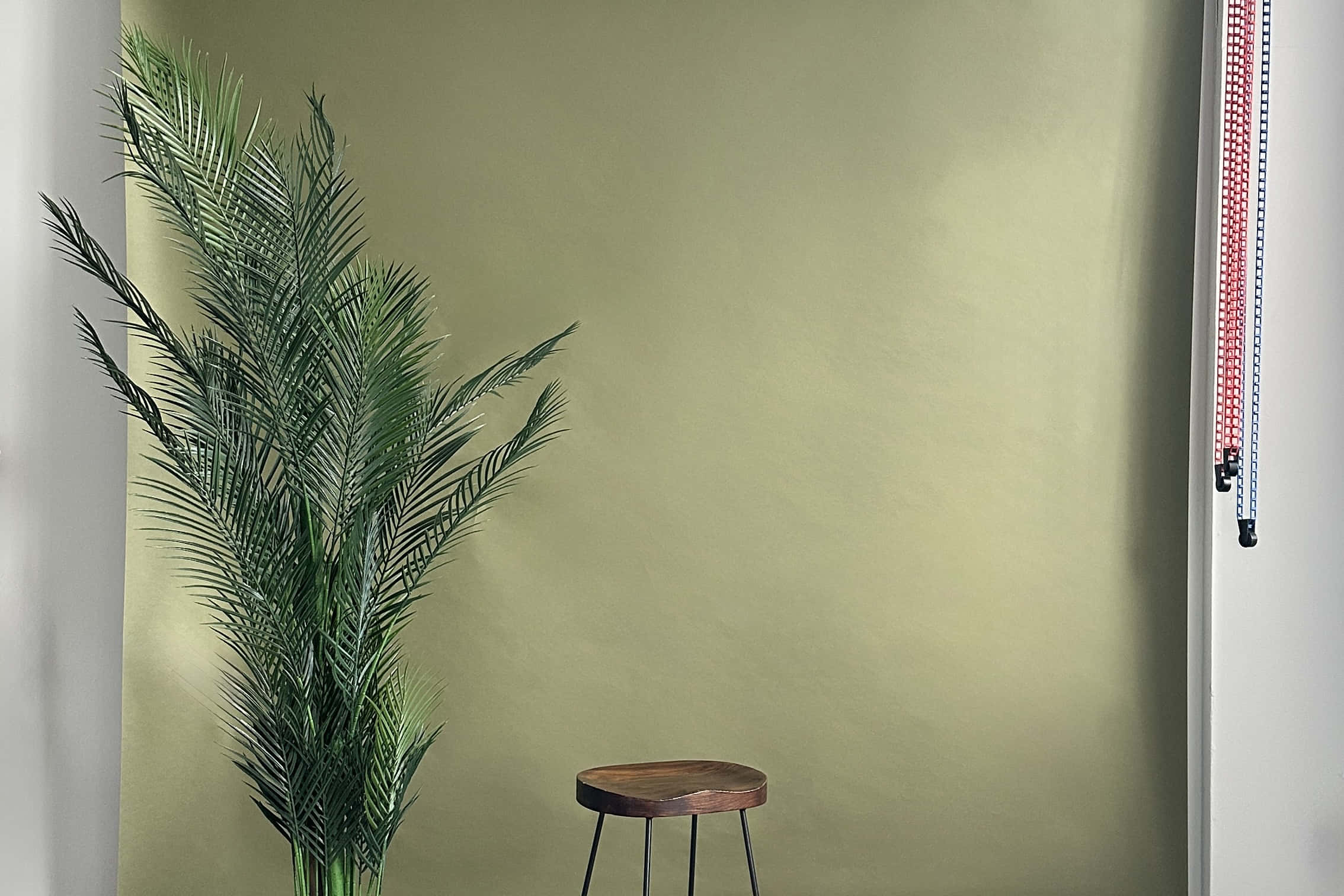 Clapham Photo Studio 4