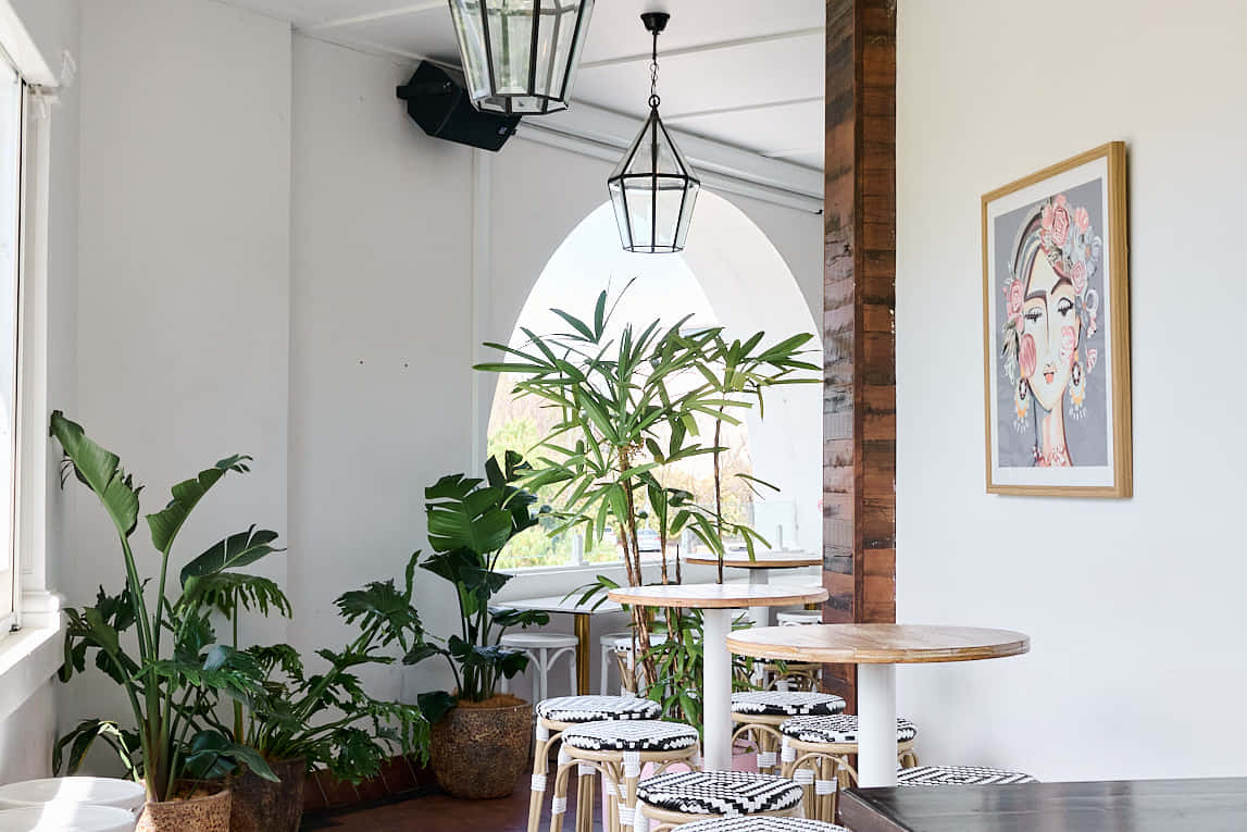 Highball Whole Venue 2