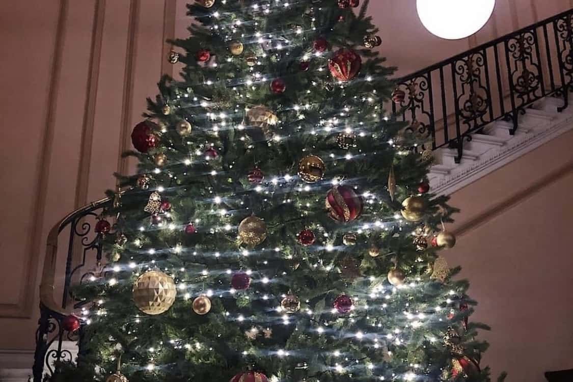 Christmas Parties 12