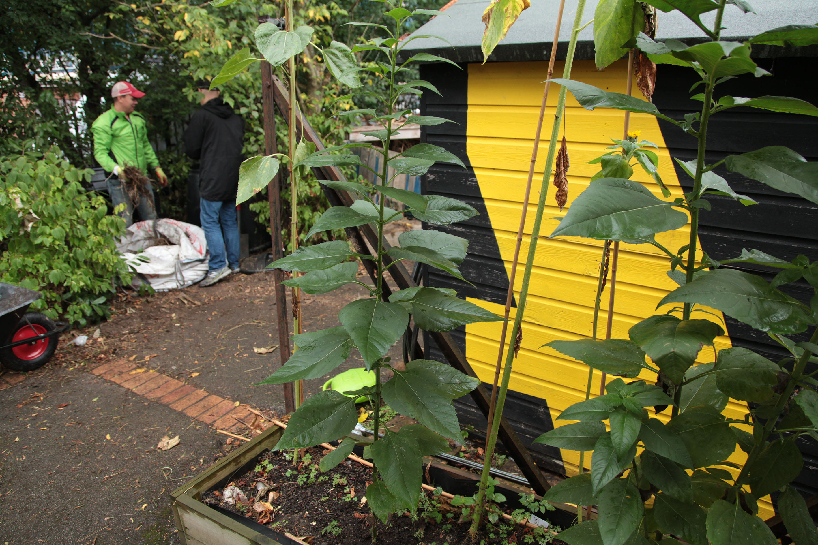 Unique & Ethical Meeting, Workshop, Training & Presentation Space in South East London 18