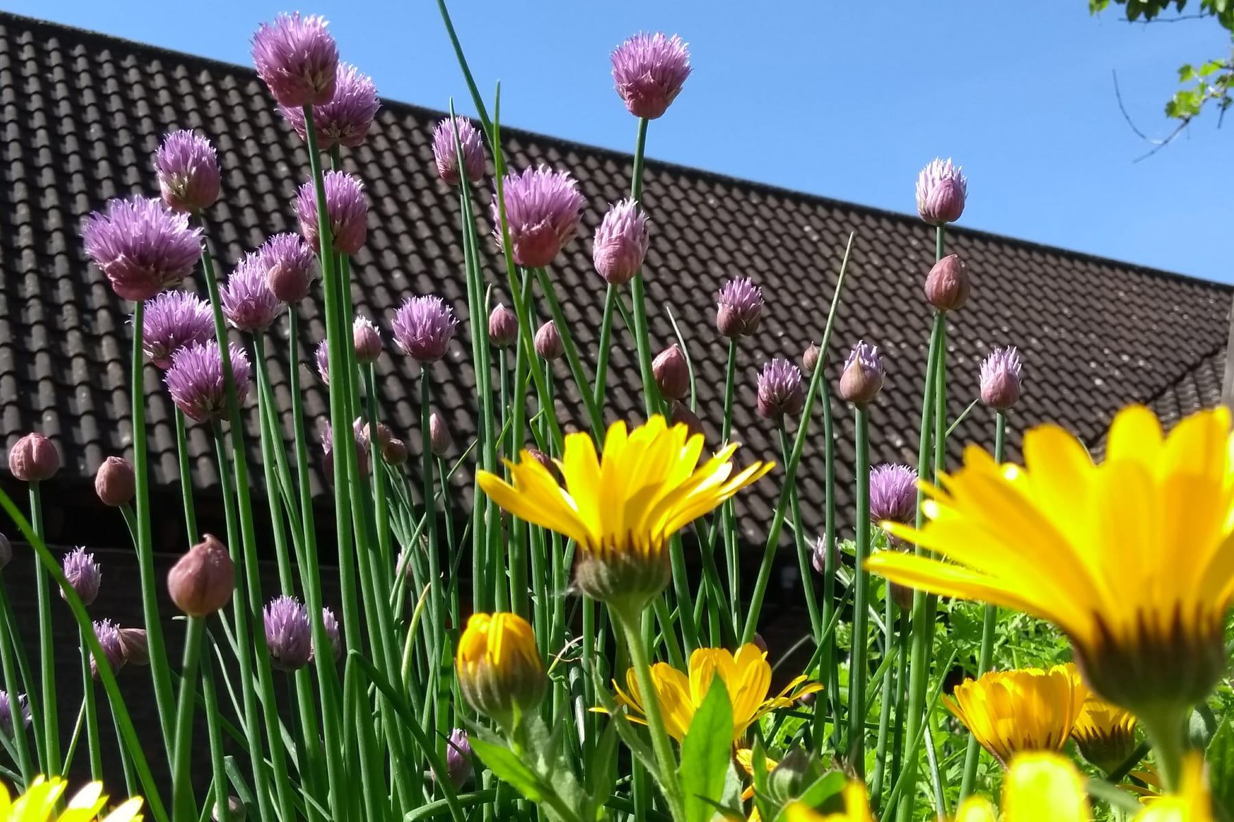 Ethical & Sustainable Meeting Rooms in South East London for Purpose-Driven Businesses 18