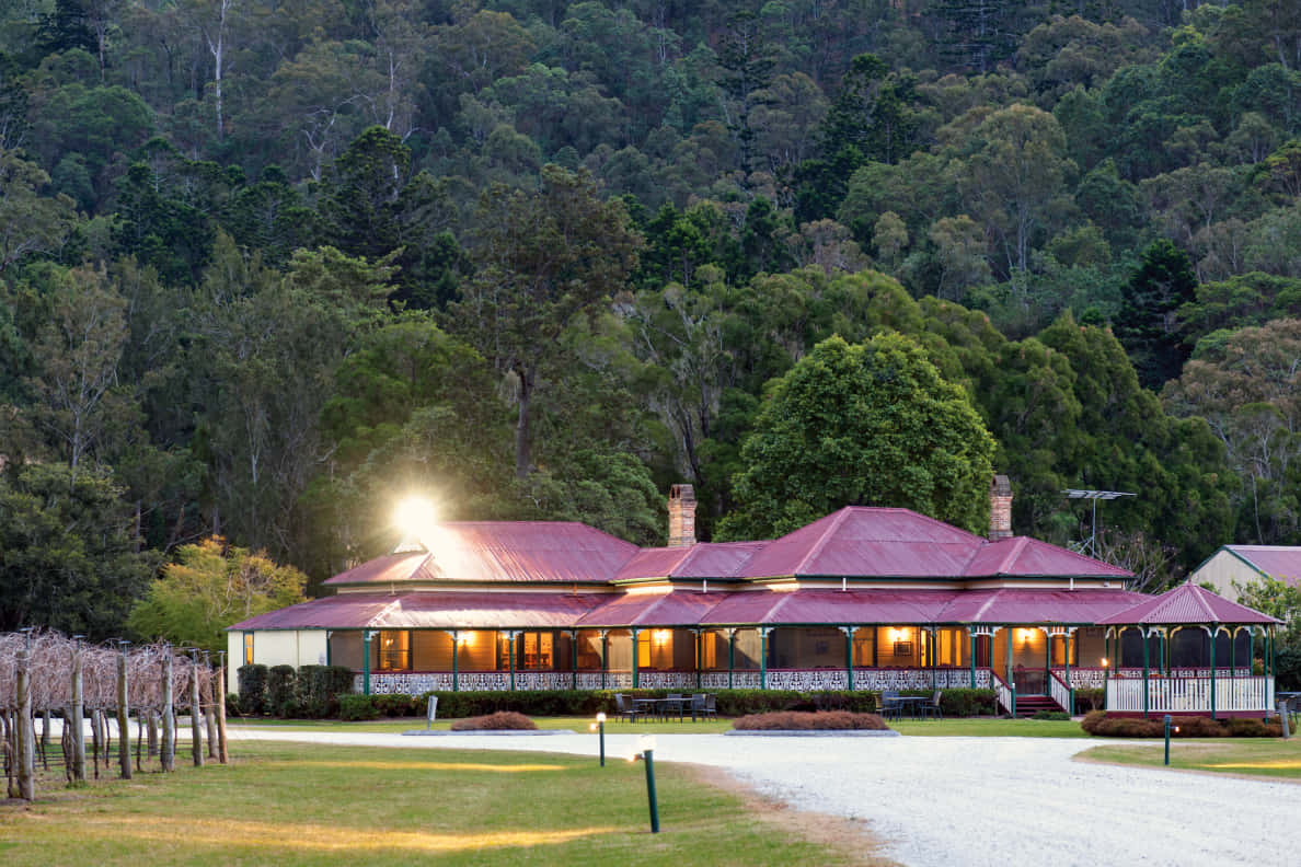 O'Reilly's Canungra Valley Vineyards 0